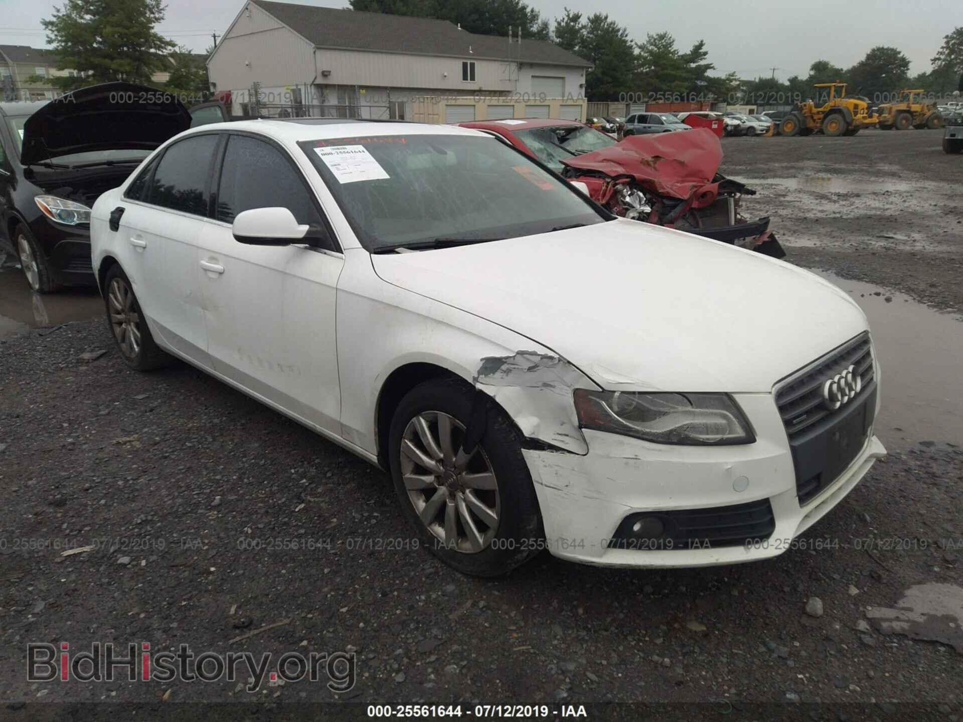Фотография WAUFFAFL7AN039220 - AUDI A4 2010