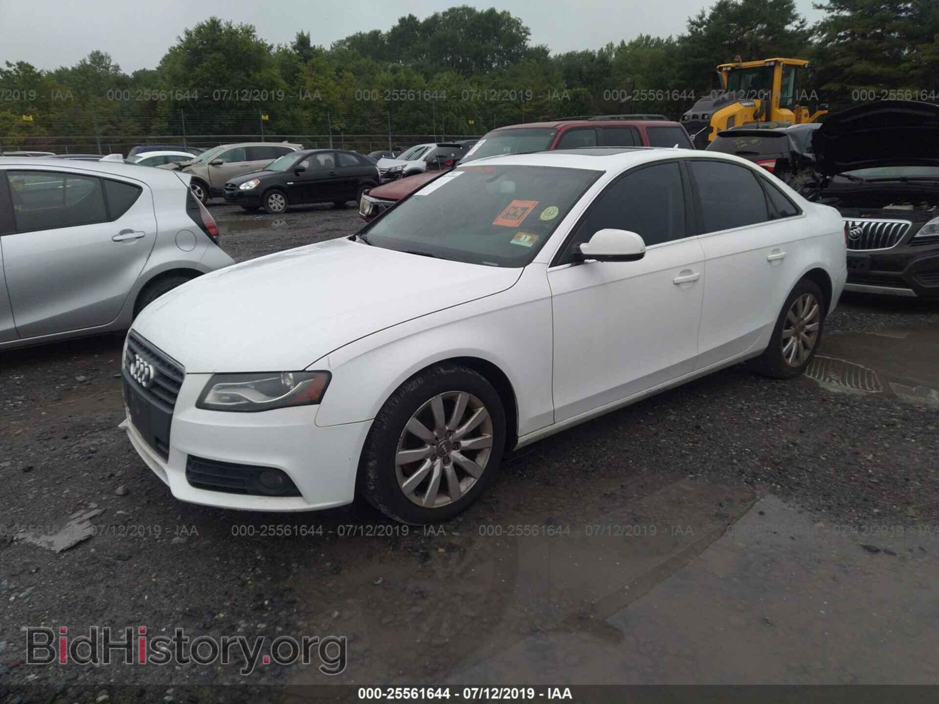 2010 AUDI A4 - VIN: WAUFFAFL7AN039220 - Фото 2