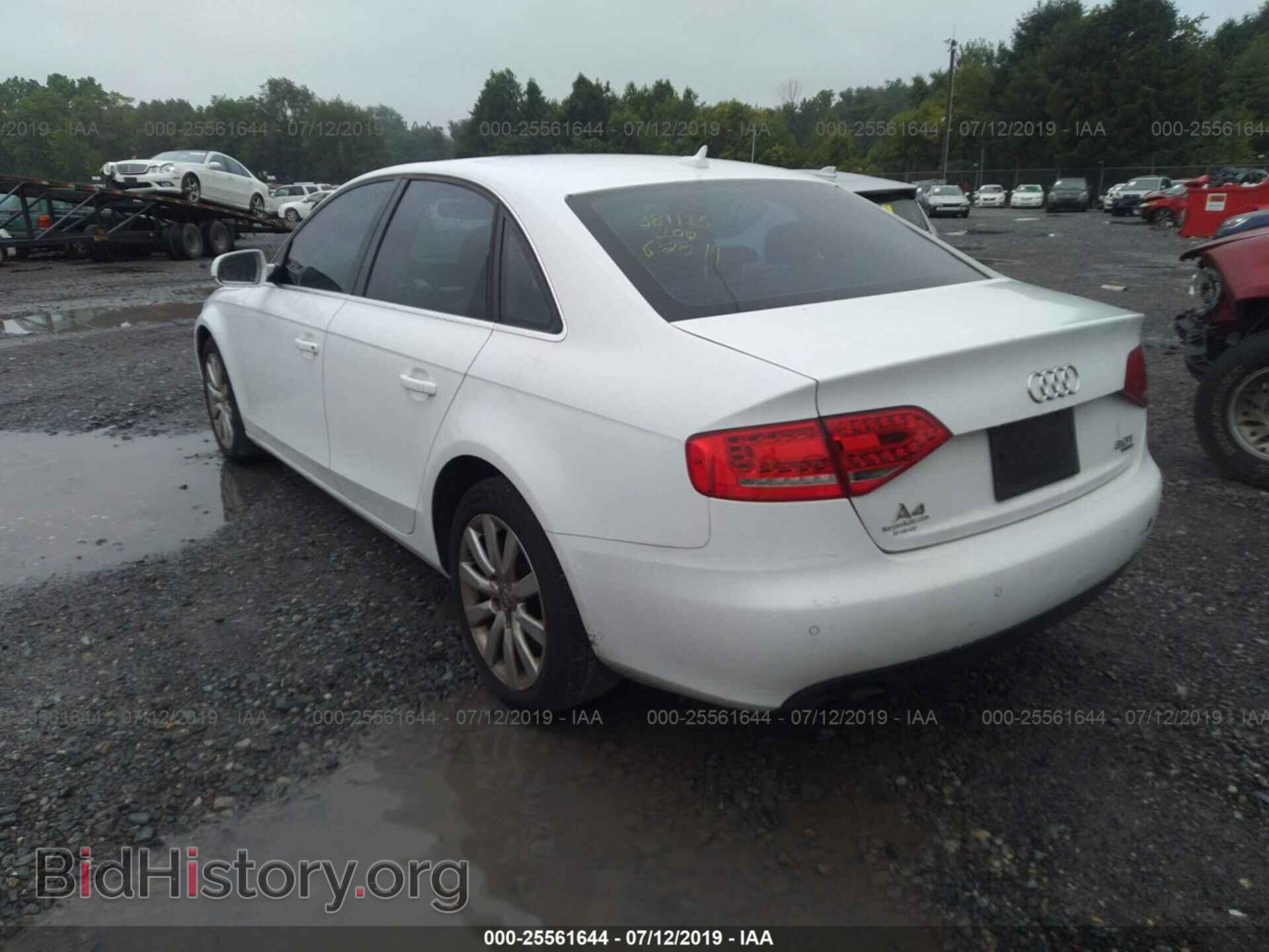 2010 AUDI A4 - VIN: WAUFFAFL7AN039220 - Фото 3