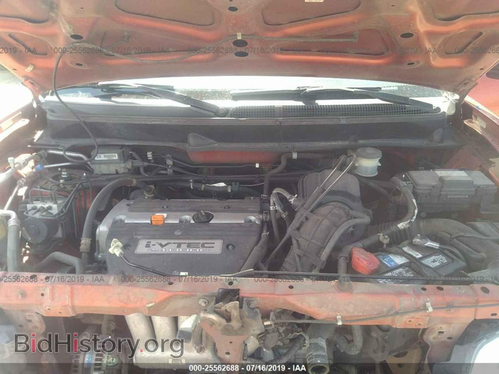 2003 HONDA ELEMENT - VIN: 5J6YH28623L031845 - Фото 10