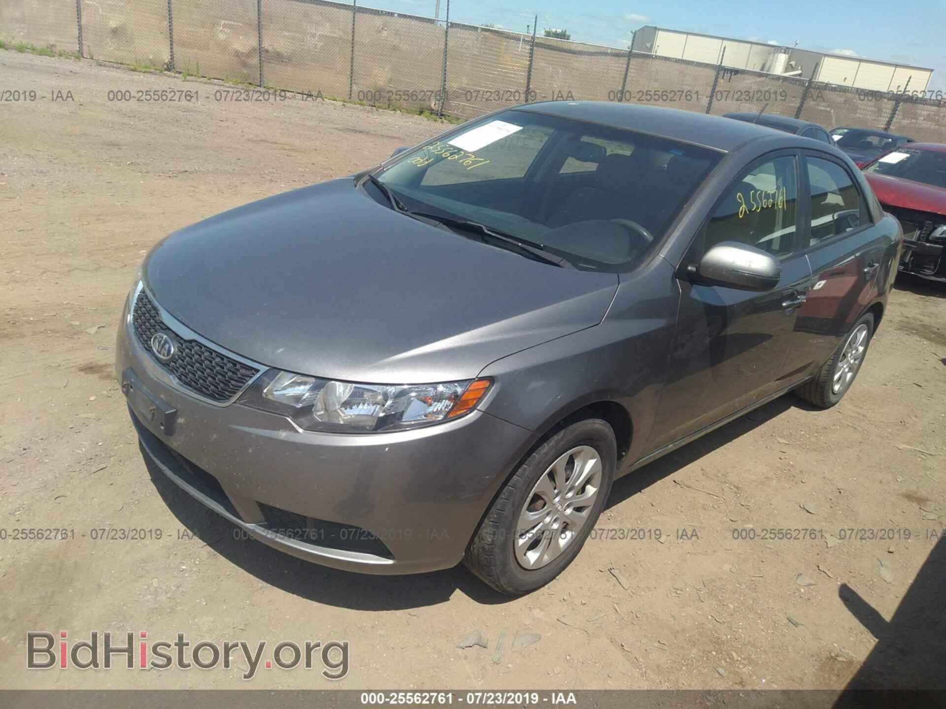 2012 KIA FORTE - VIN: KNAFU4A20C5493057 - Фото 2