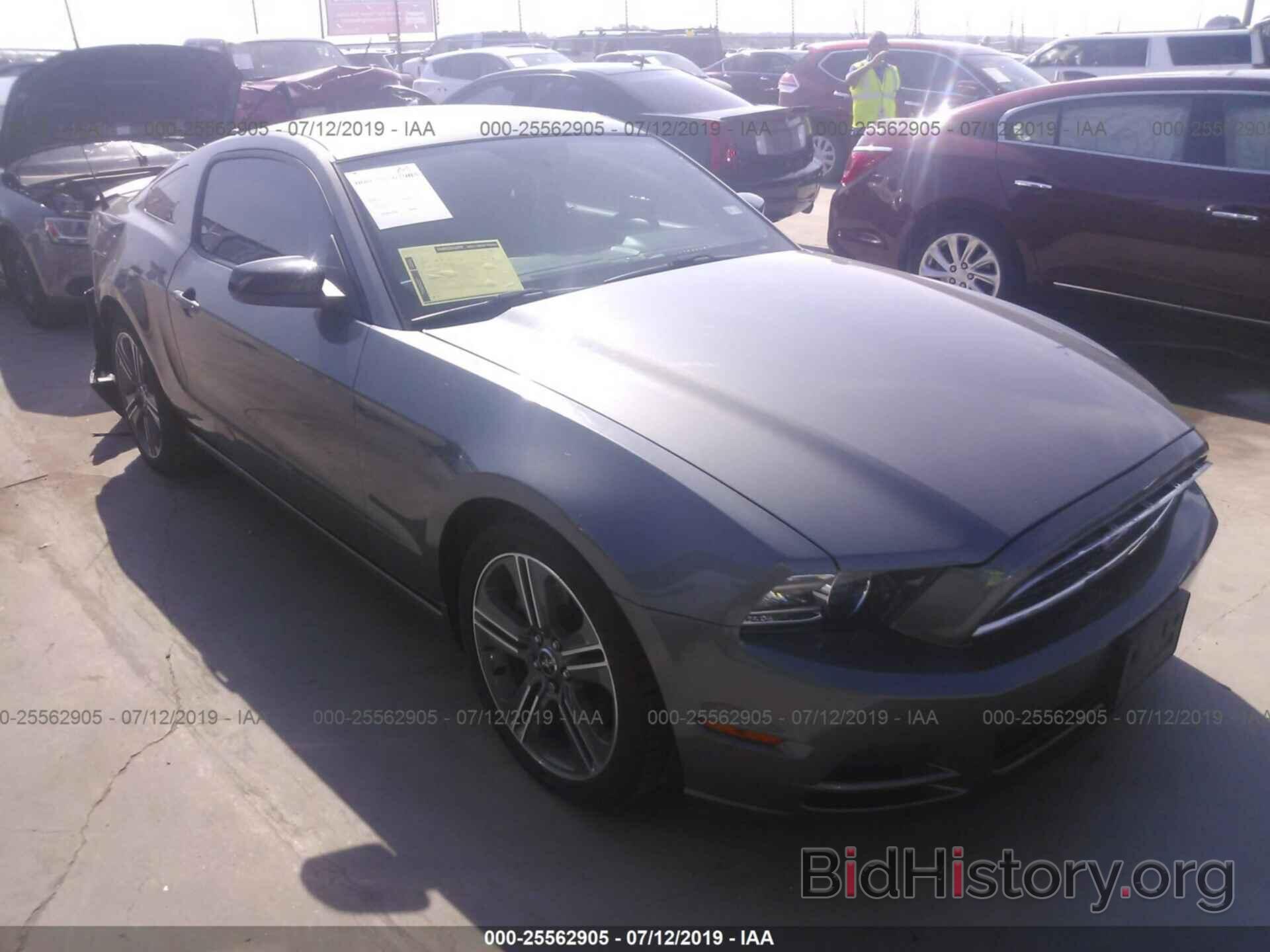 Photo 1ZVBP8AM8D5244831 - FORD MUSTANG 2013