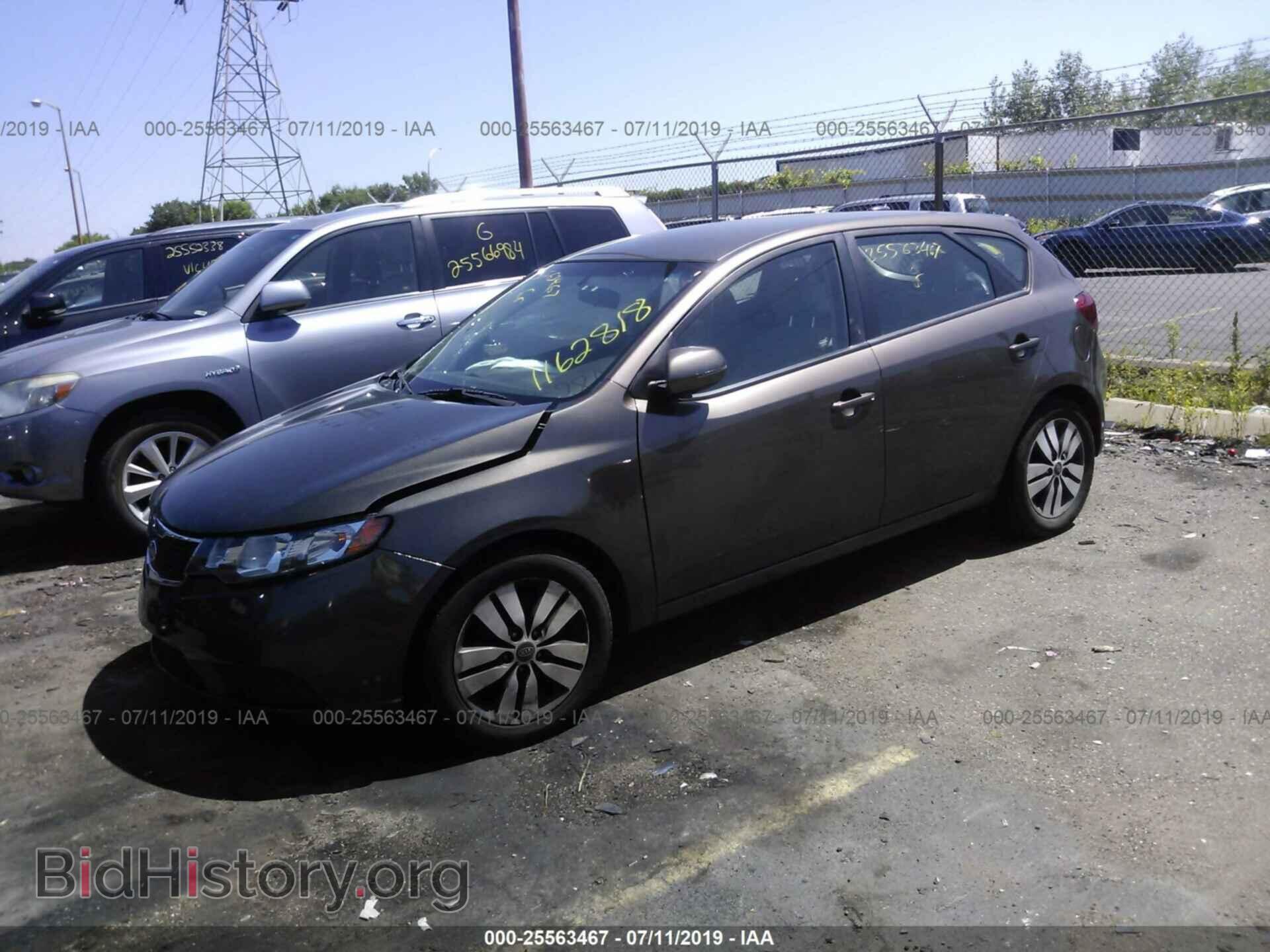 2013 KIA FORTE - VIN: KNAFU5A2XD5745940 - Фото 2