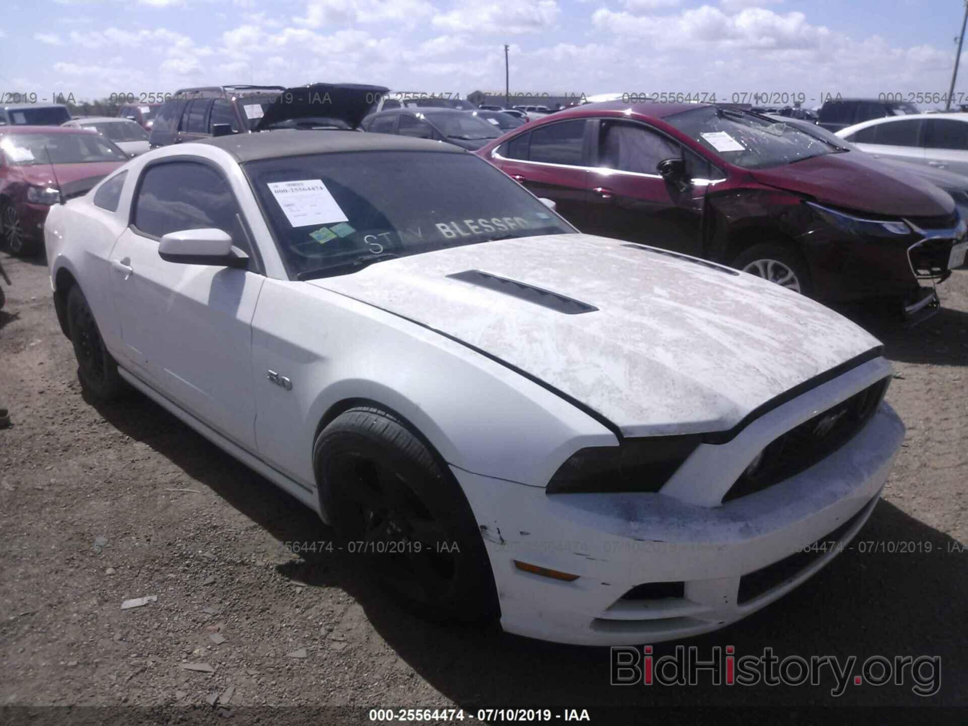 Photo 1ZVBP8CFXD5262066 - FORD MUSTANG 2013