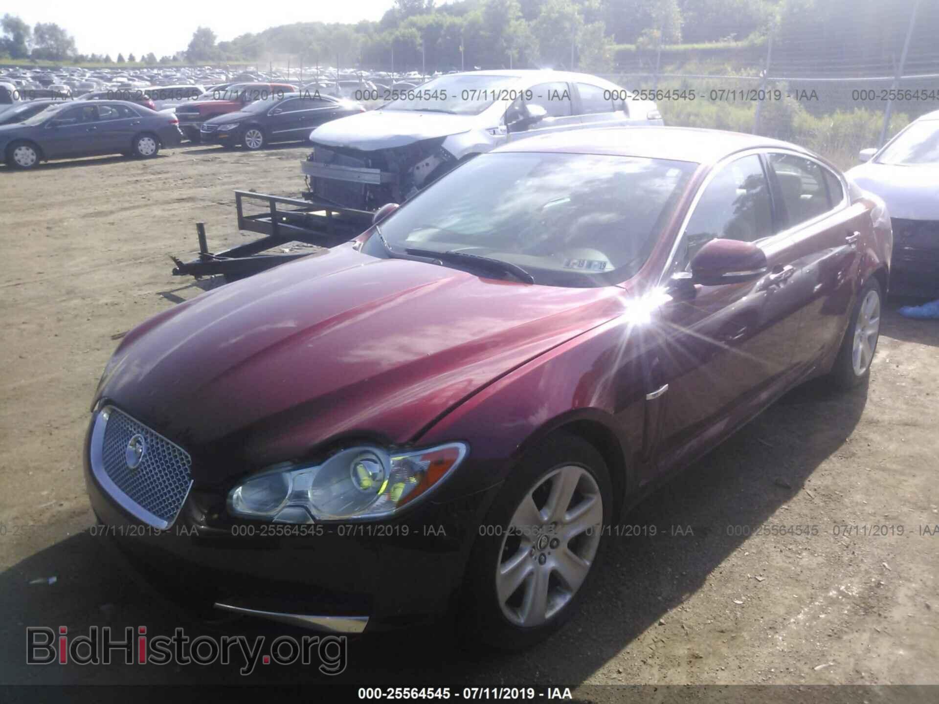 2011 JAGUAR XF - VIN: SAJWA0FB7BLS09433 - Фото 2