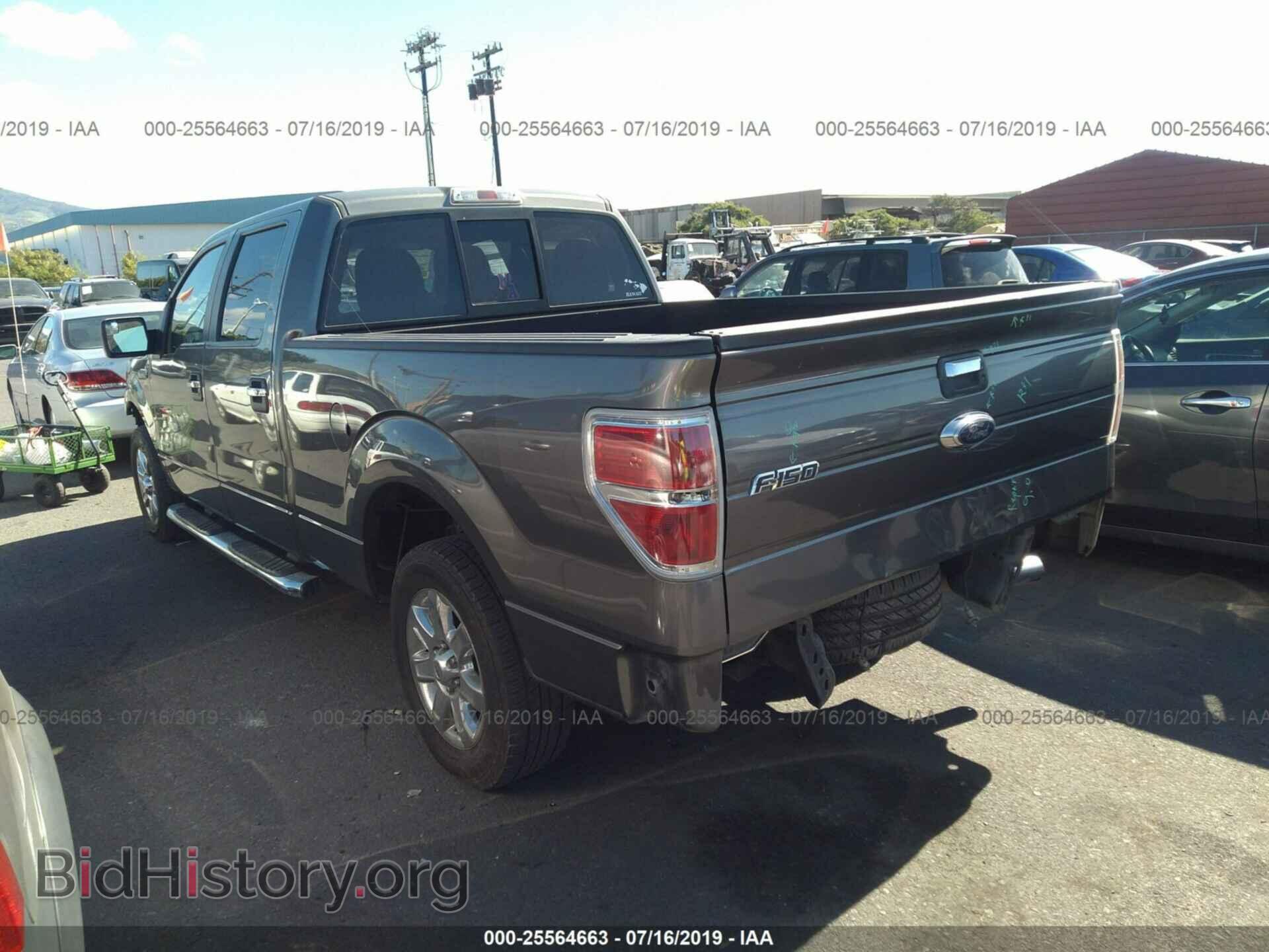 2013 FORD F150 - VIN: 1FTFW1CTXDFD77815 - Фото 3