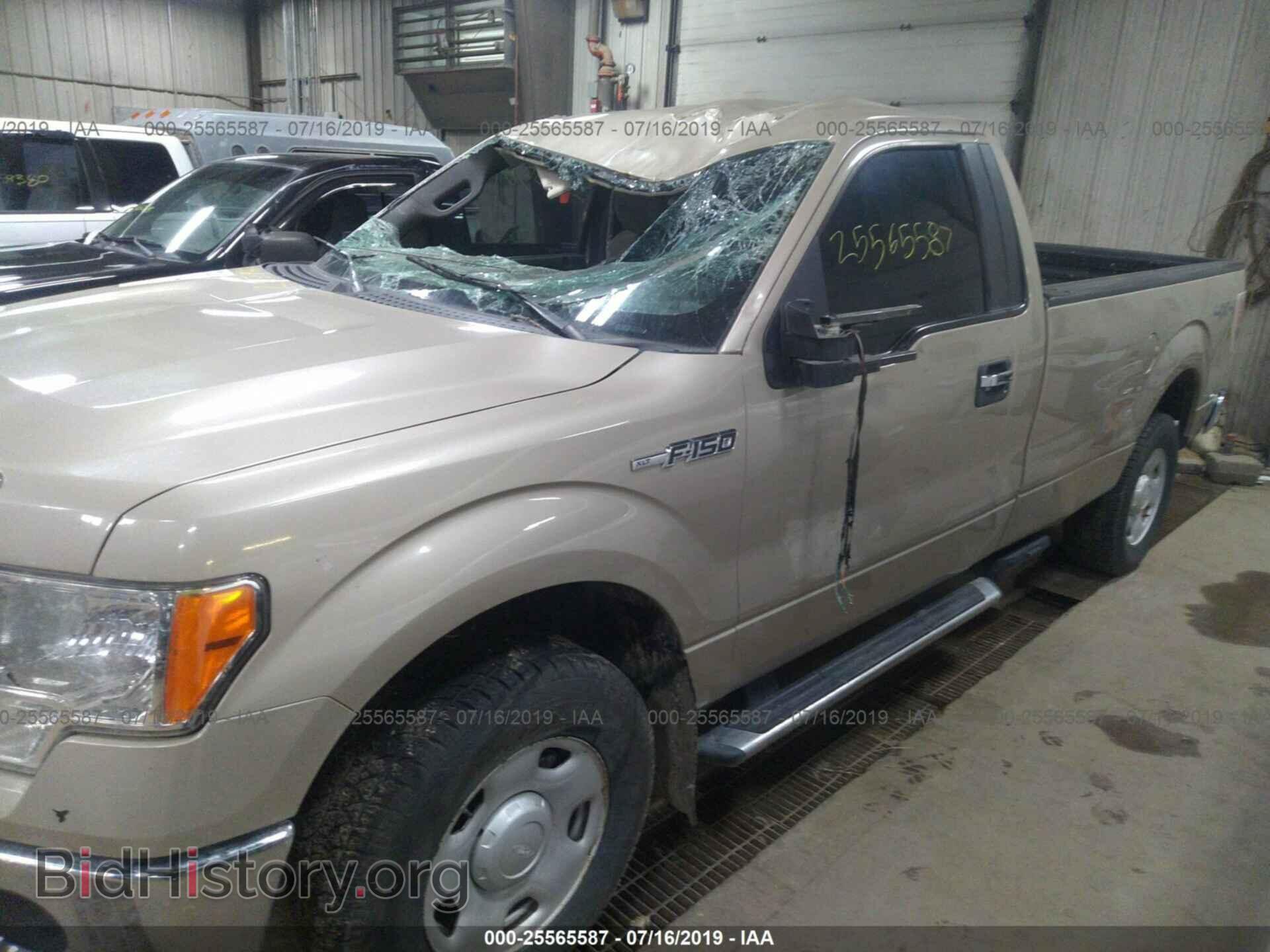 2009 FORD F150 - VIN: 1FTVF14V79KC83501 - Фото 6