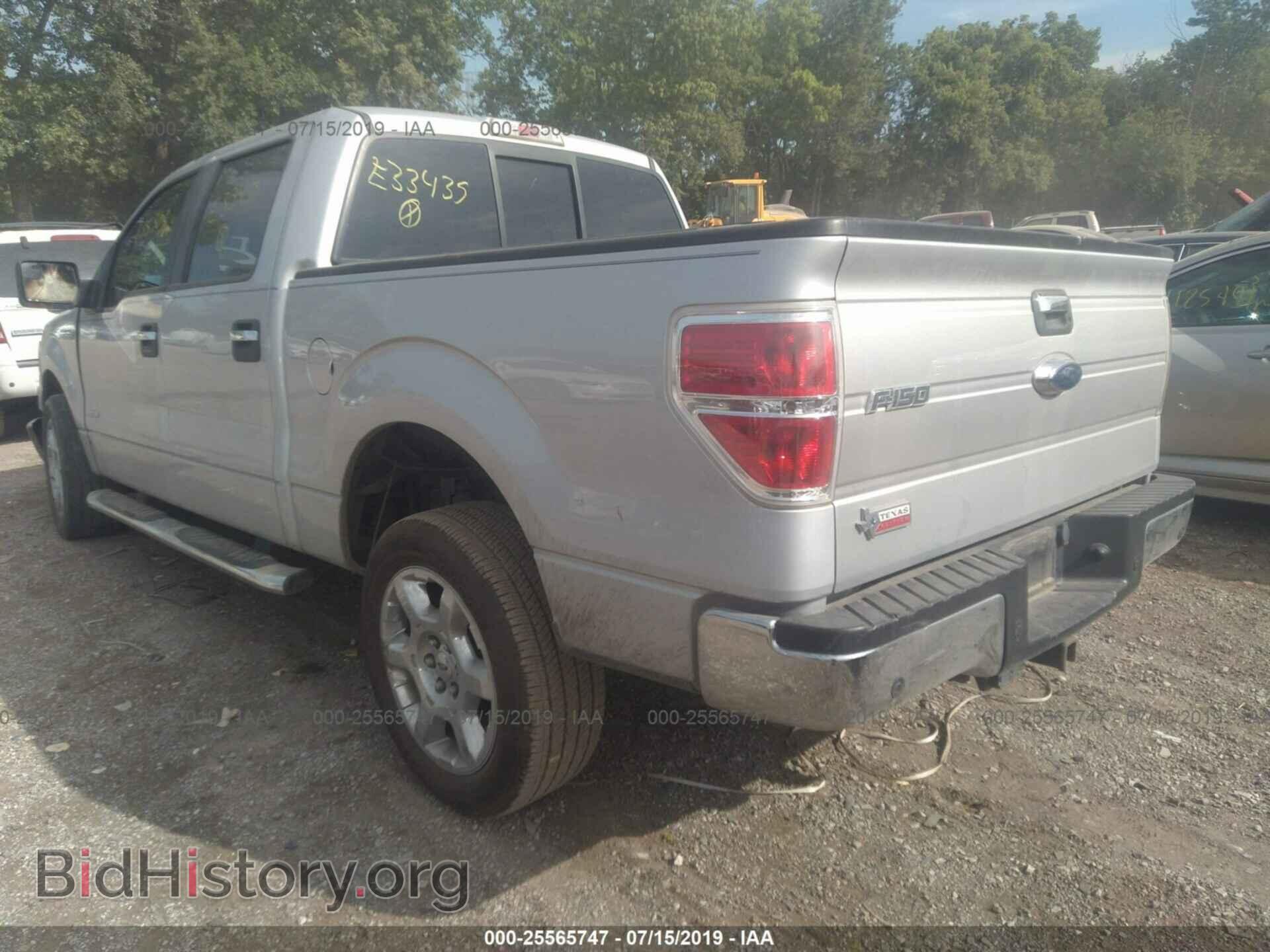 2013 FORD F150 - VIN: 1FTFW1CT8DKE33435 - Фото 3