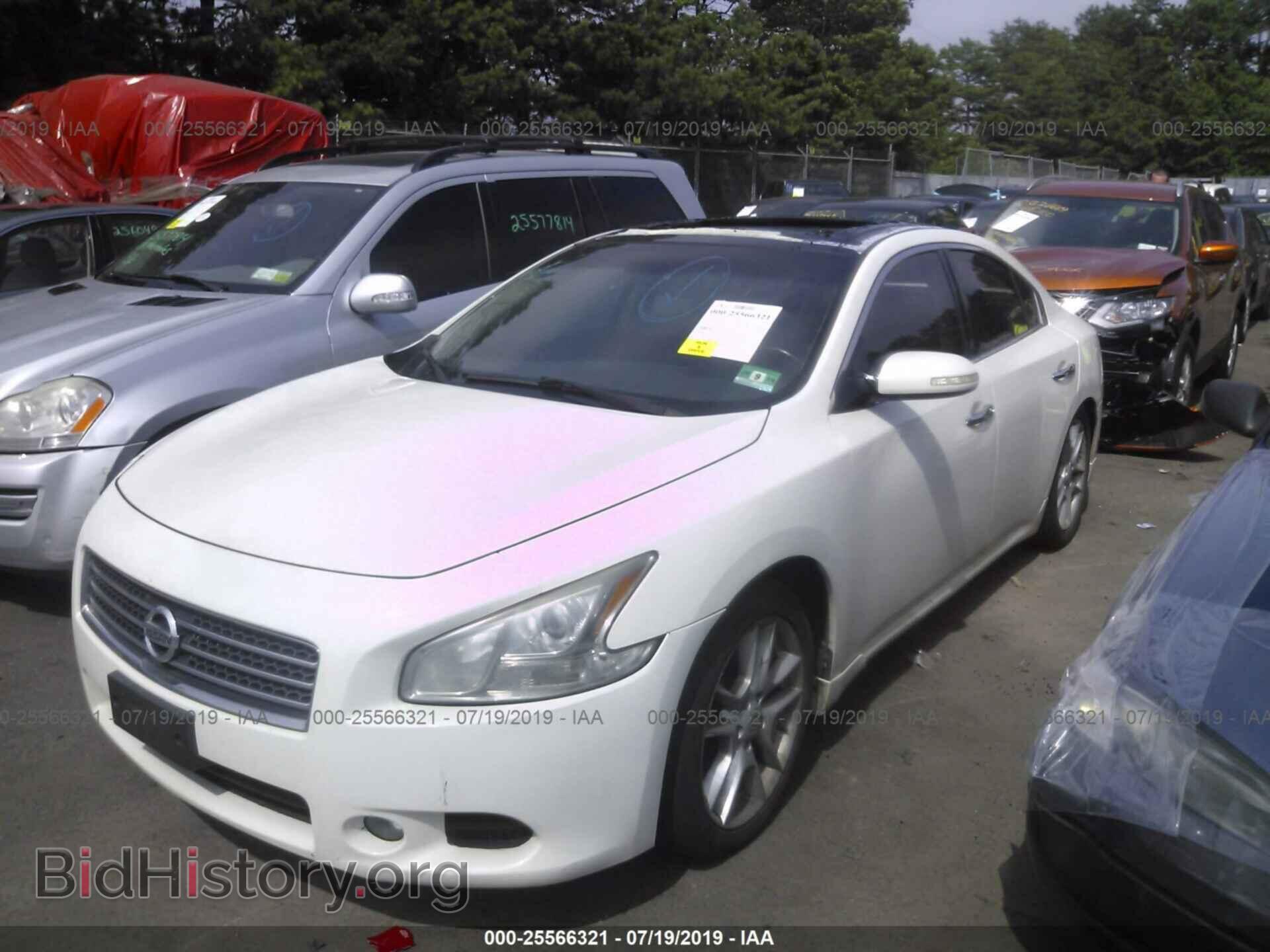 2010 NISSAN MAXIMA - VIN: 1N4AA5AP3AC829239 - Фото 2