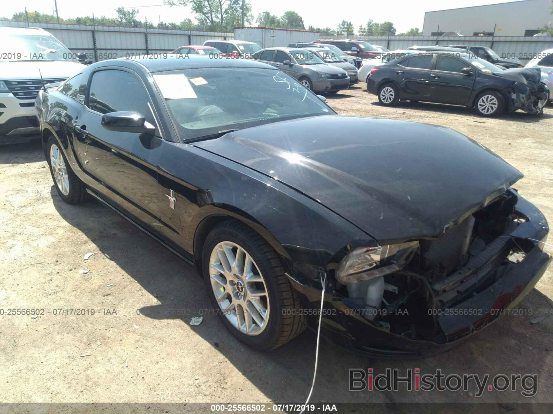Photo 1ZVBP8AM0D5213427 - FORD MUSTANG 2013