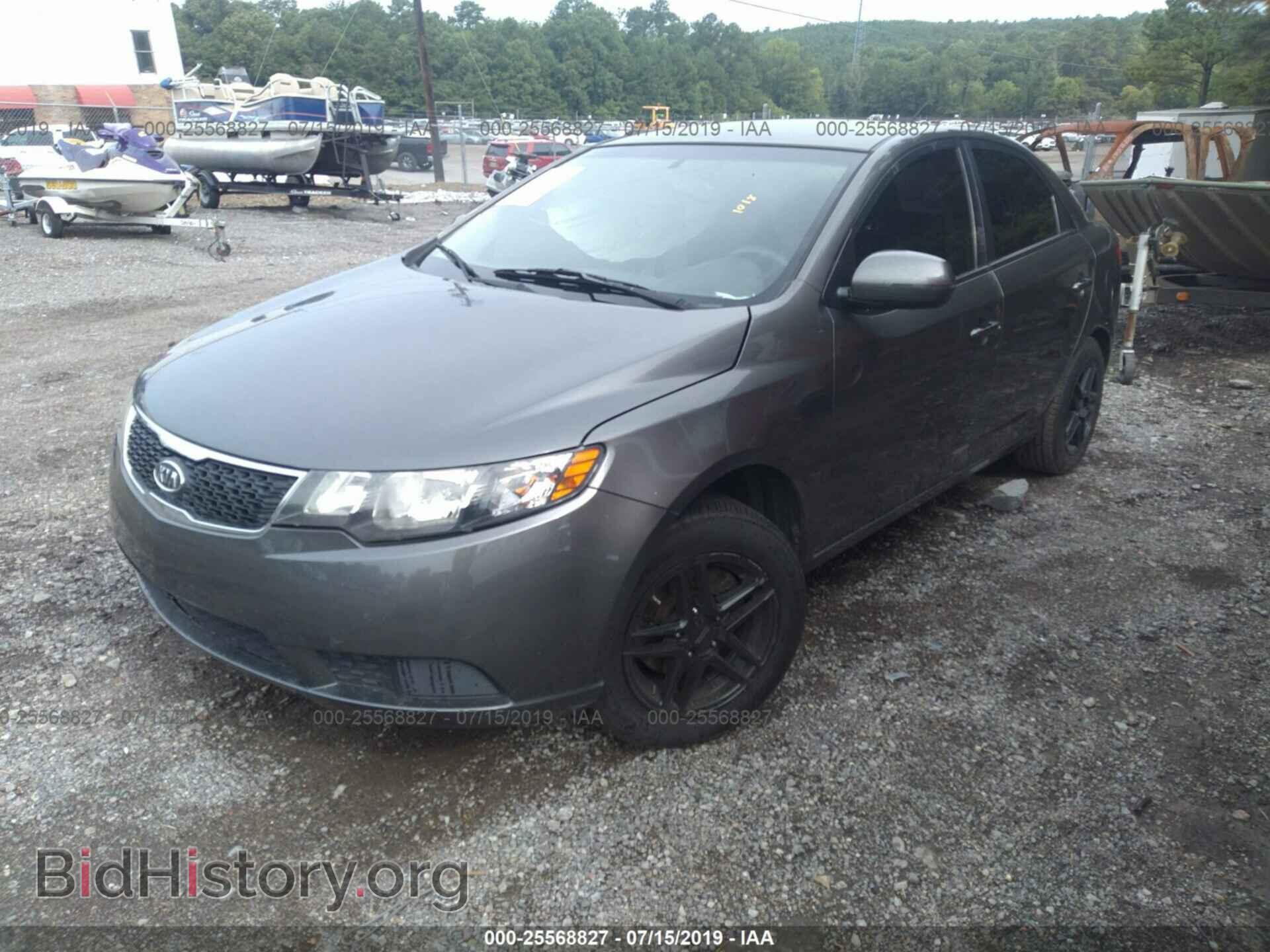 2013 KIA FORTE - VIN: KNAFU4A21D5694709 - Фото 2