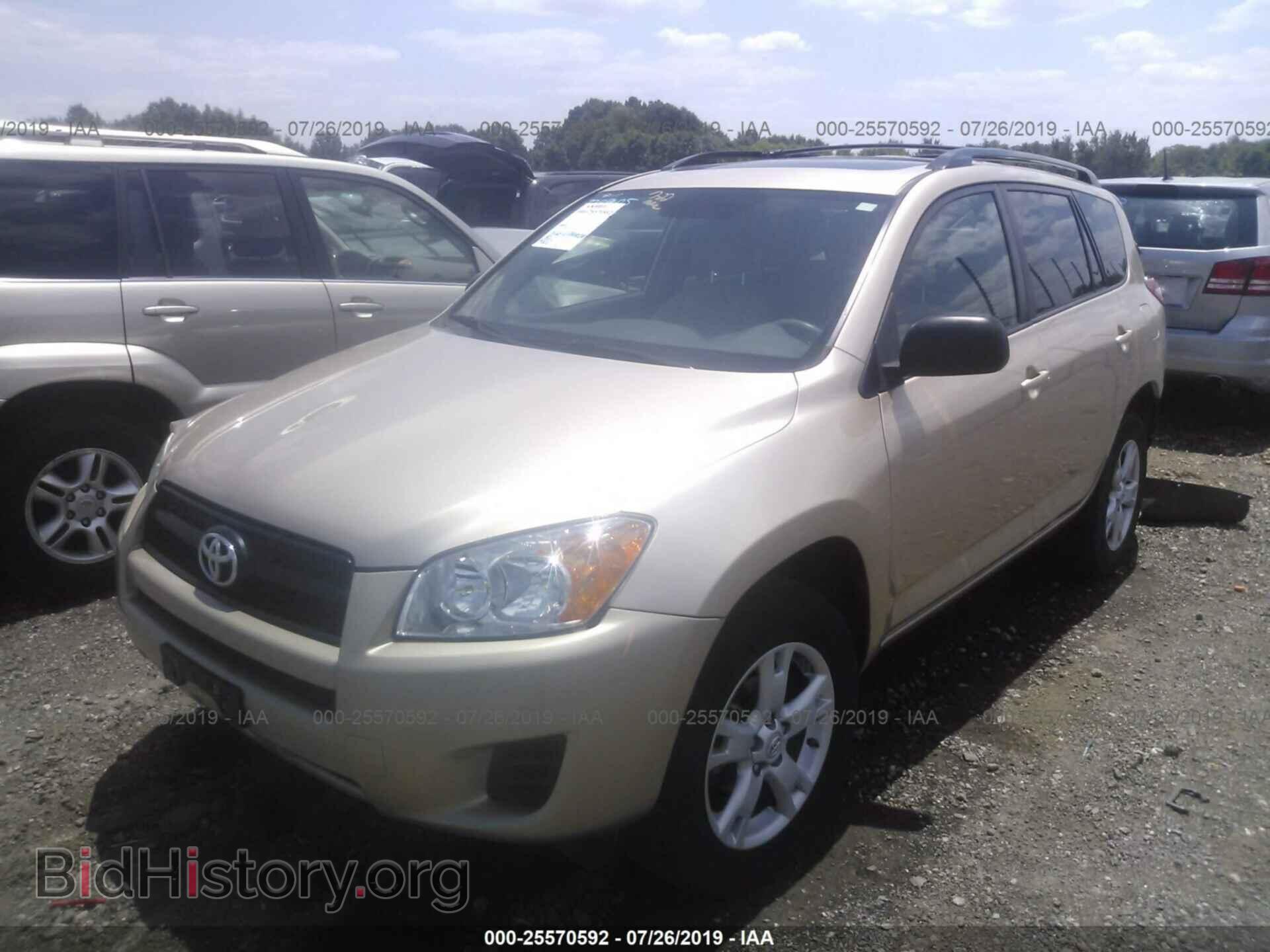2012 TOYOTA RAV4 - VIN: 2T3BF4DV4CW238177 - Photo 2