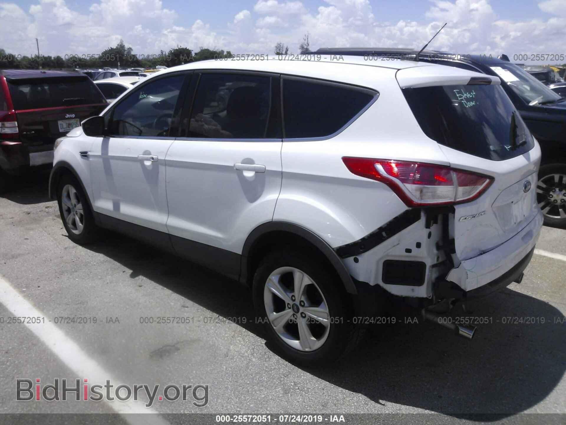 2013 FORD ESCAPE - VIN: 1FMCU0GX4DUA80420 - Фото 3