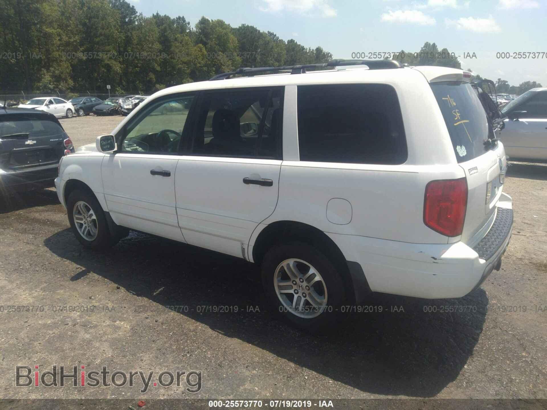 2005 HONDA PILOT - VIN: 5FNYF18645B013391 - Фото 3