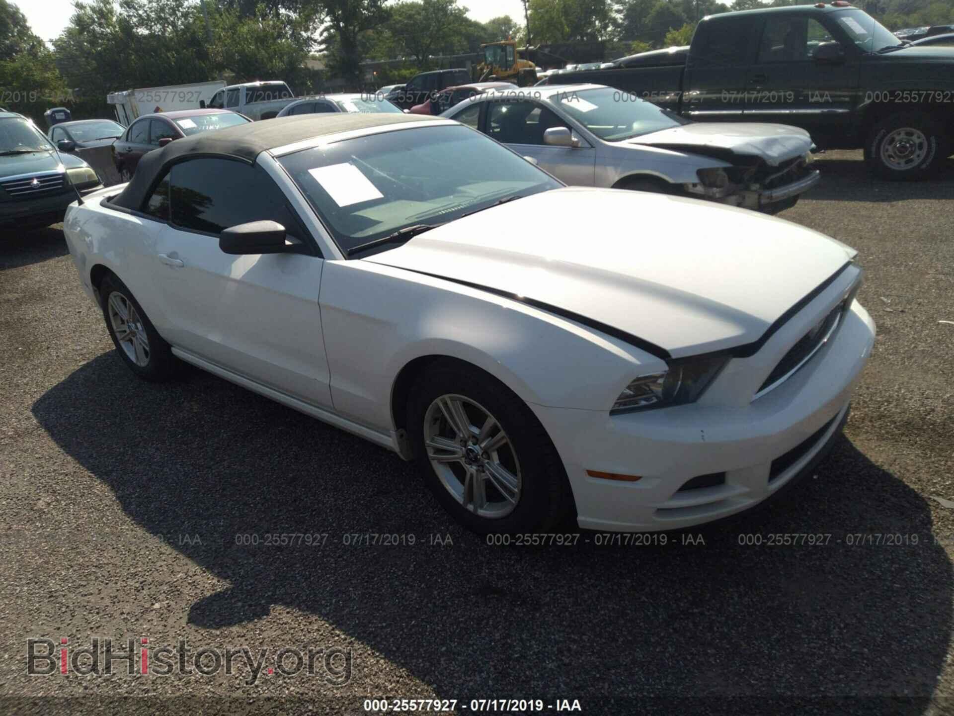 Photo 1ZVBP8EM9D5216921 - FORD MUSTANG 2013