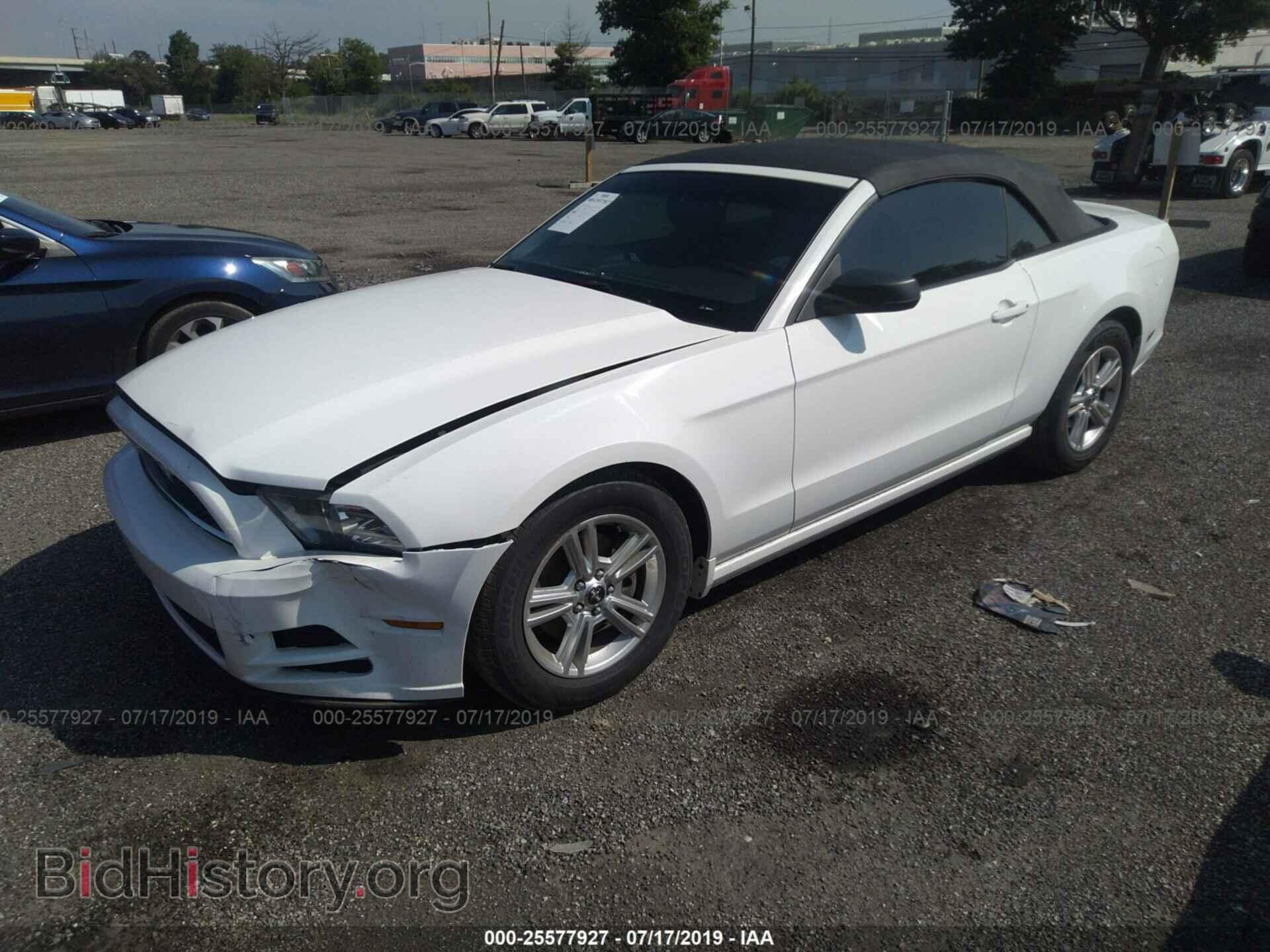 2013 FORD MUSTANG - VIN: 1ZVBP8EM9D5216921 - Фото 2