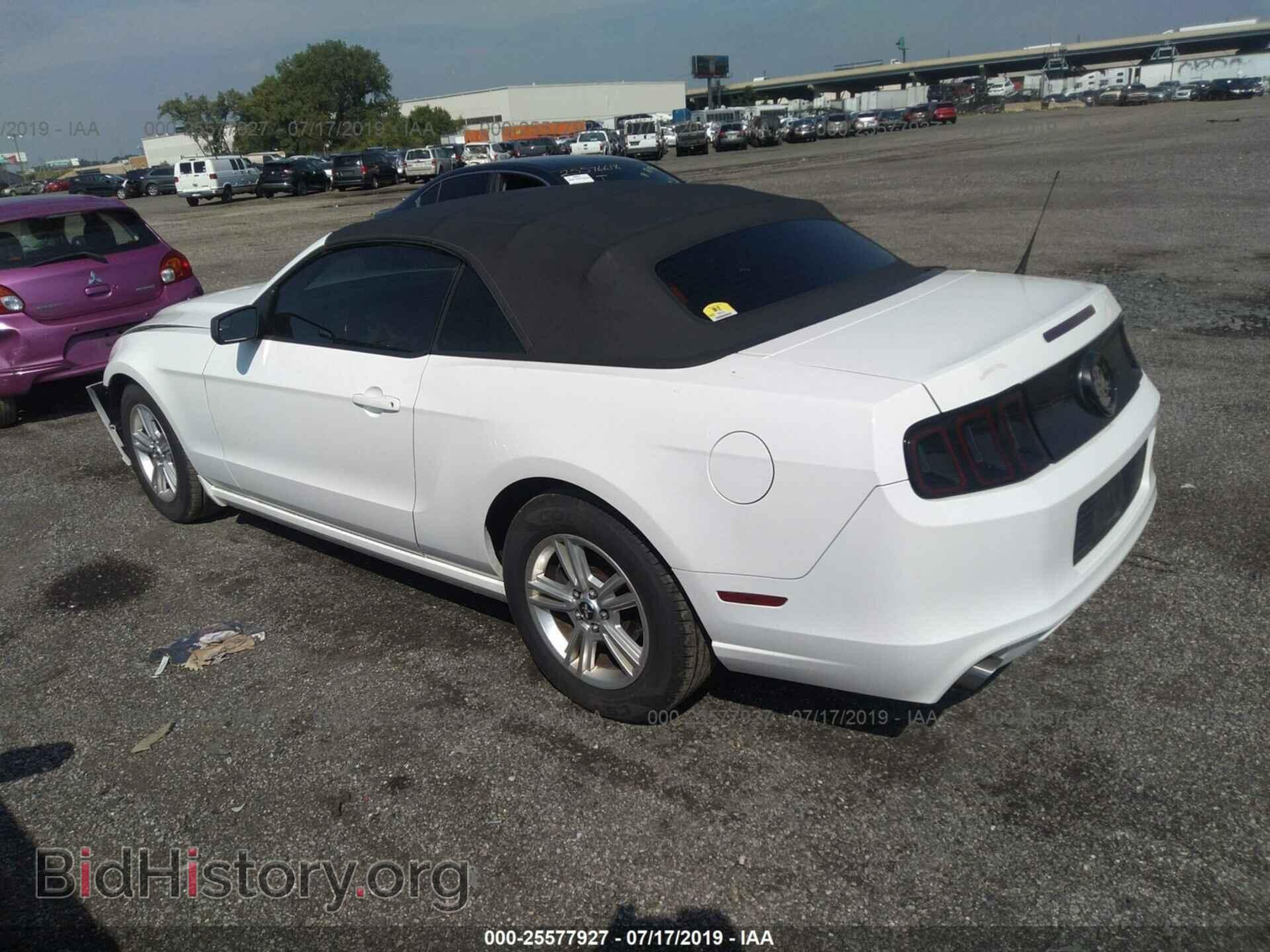2013 FORD MUSTANG - VIN: 1ZVBP8EM9D5216921 - Фото 3