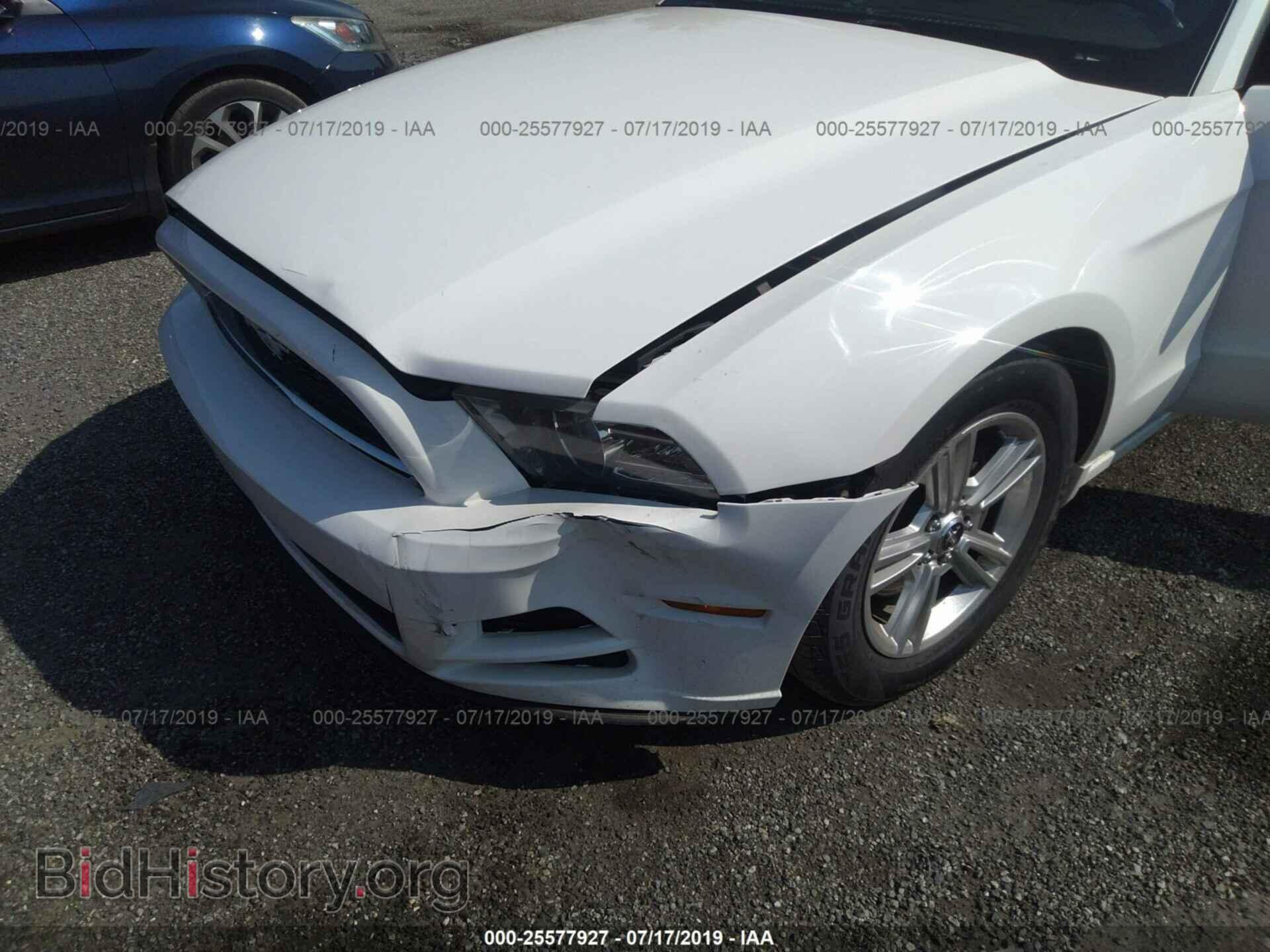 2013 FORD MUSTANG - VIN: 1ZVBP8EM9D5216921 - Фото 6