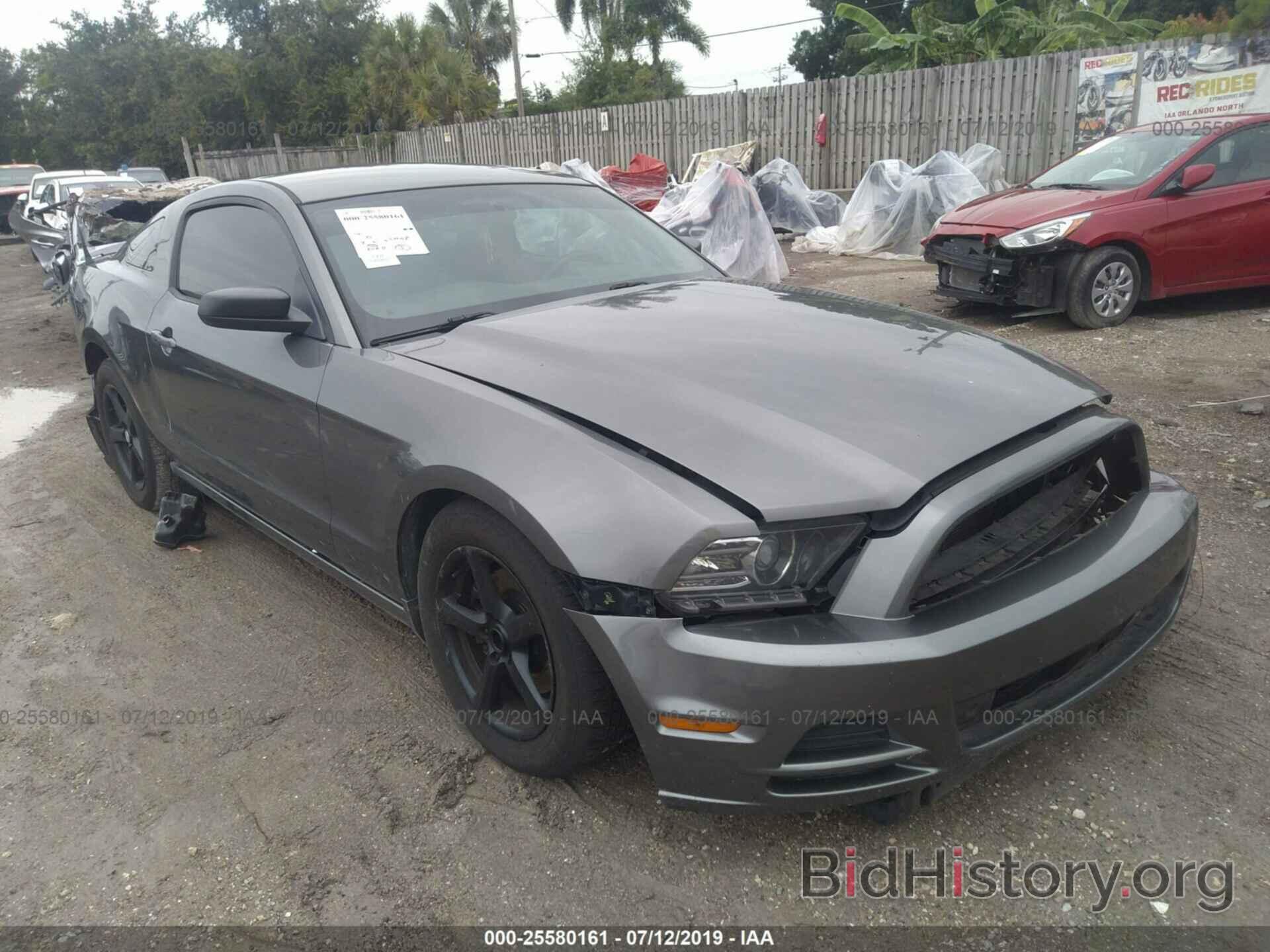 Фотография 1ZVBP8AM0D5265916 - FORD MUSTANG 2013