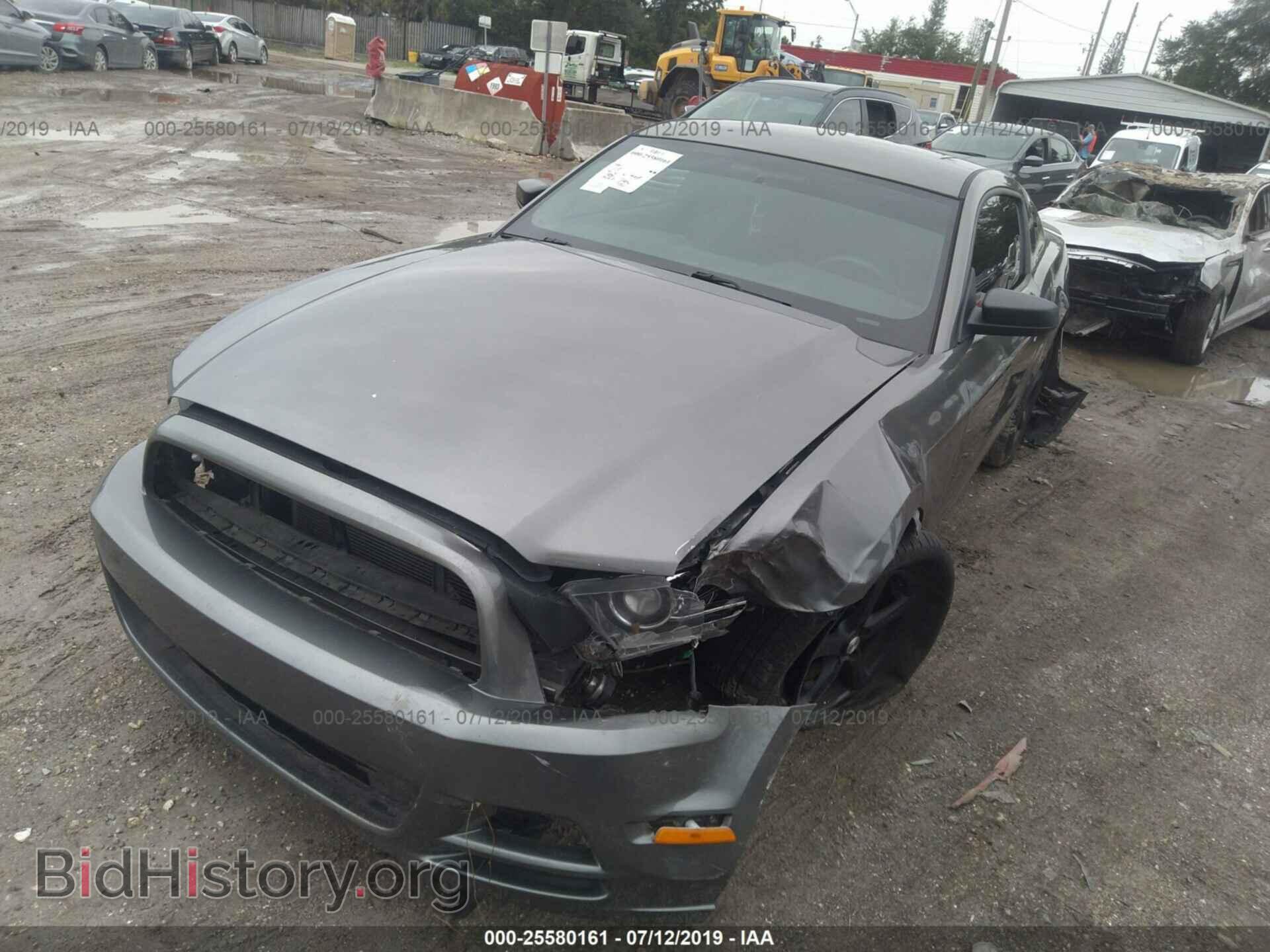 2013 FORD MUSTANG - VIN: 1ZVBP8AM0D5265916 - Фото 2