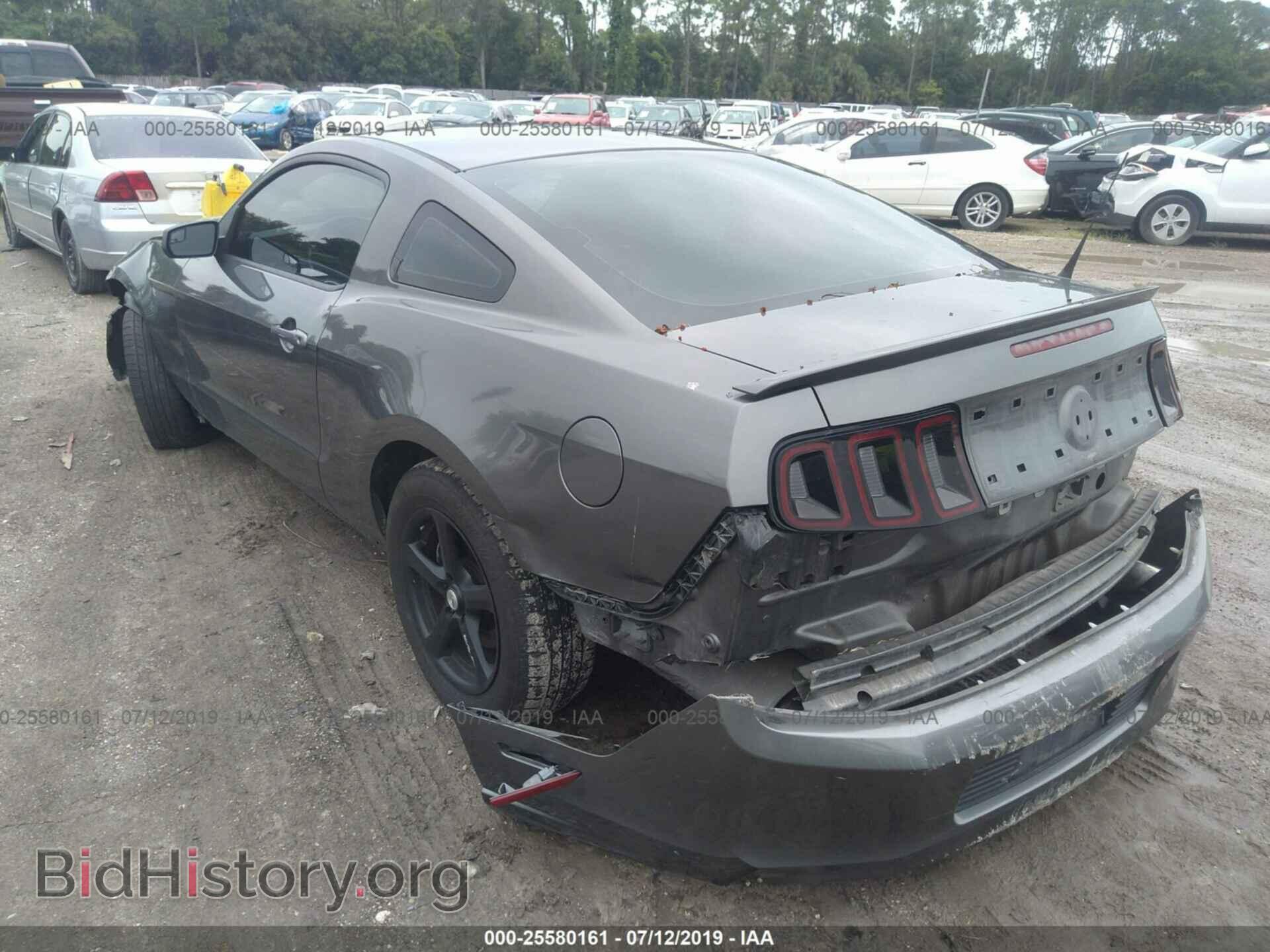 2013 FORD MUSTANG - VIN: 1ZVBP8AM0D5265916 - Фото 3