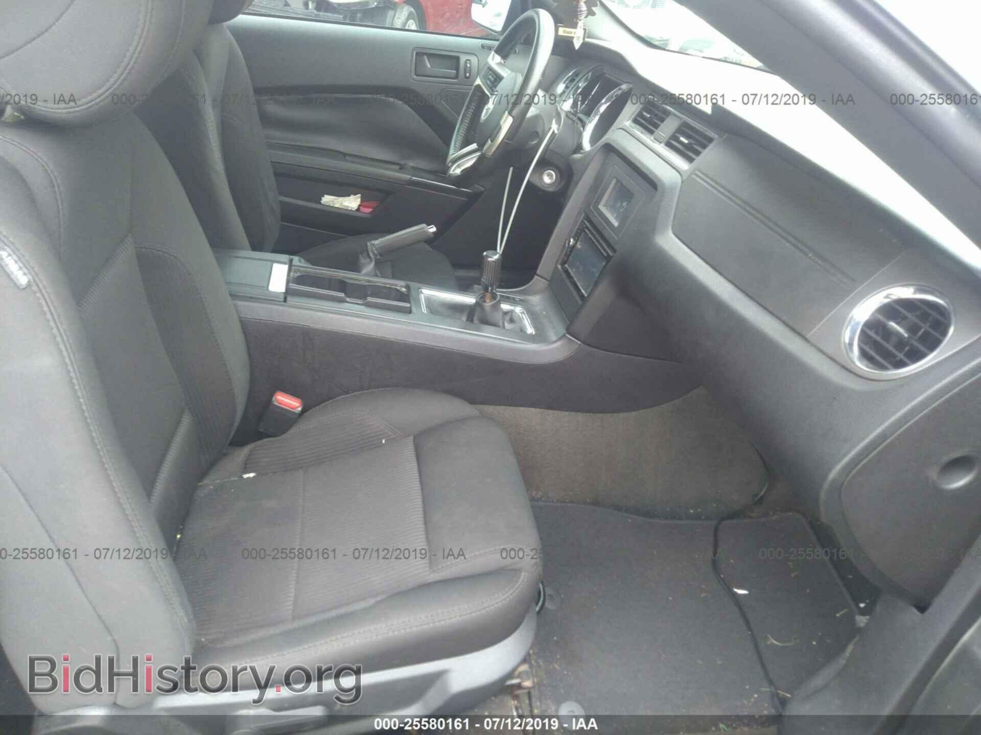 2013 FORD MUSTANG - VIN: 1ZVBP8AM0D5265916 - Фото 5