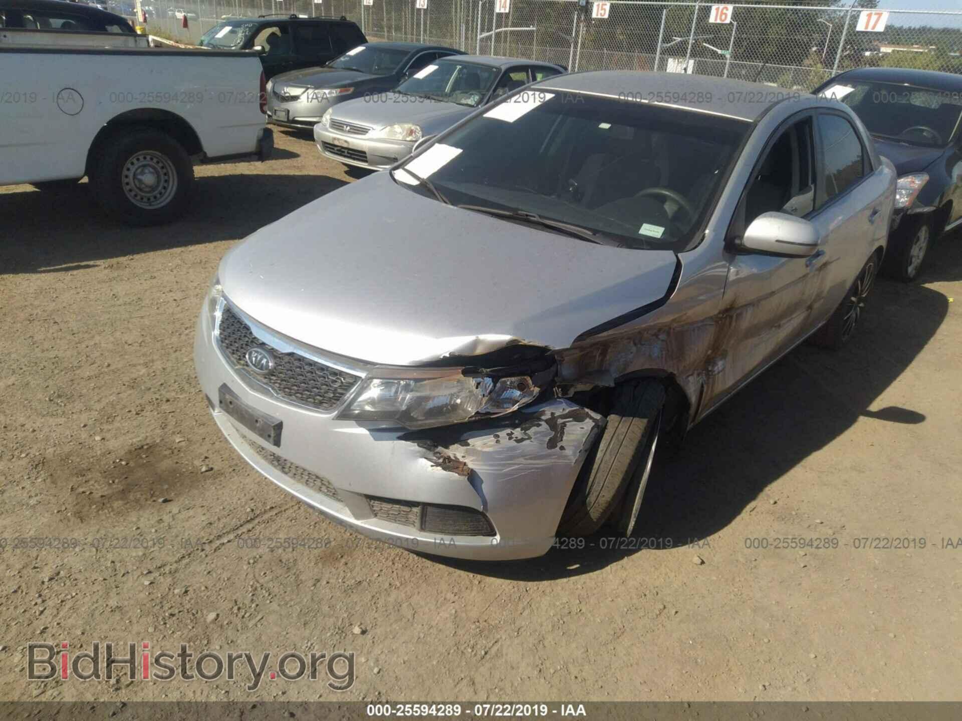 2013 KIA FORTE - VIN: KNAFU4A29D5686096 - Фото 2