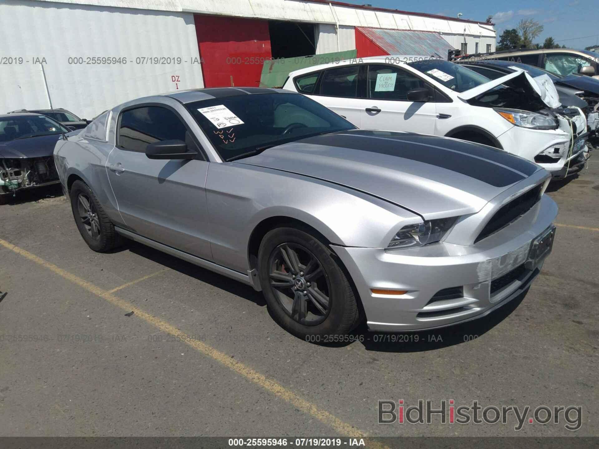 Photo 1ZVBP8AM3D5255350 - FORD MUSTANG 2013