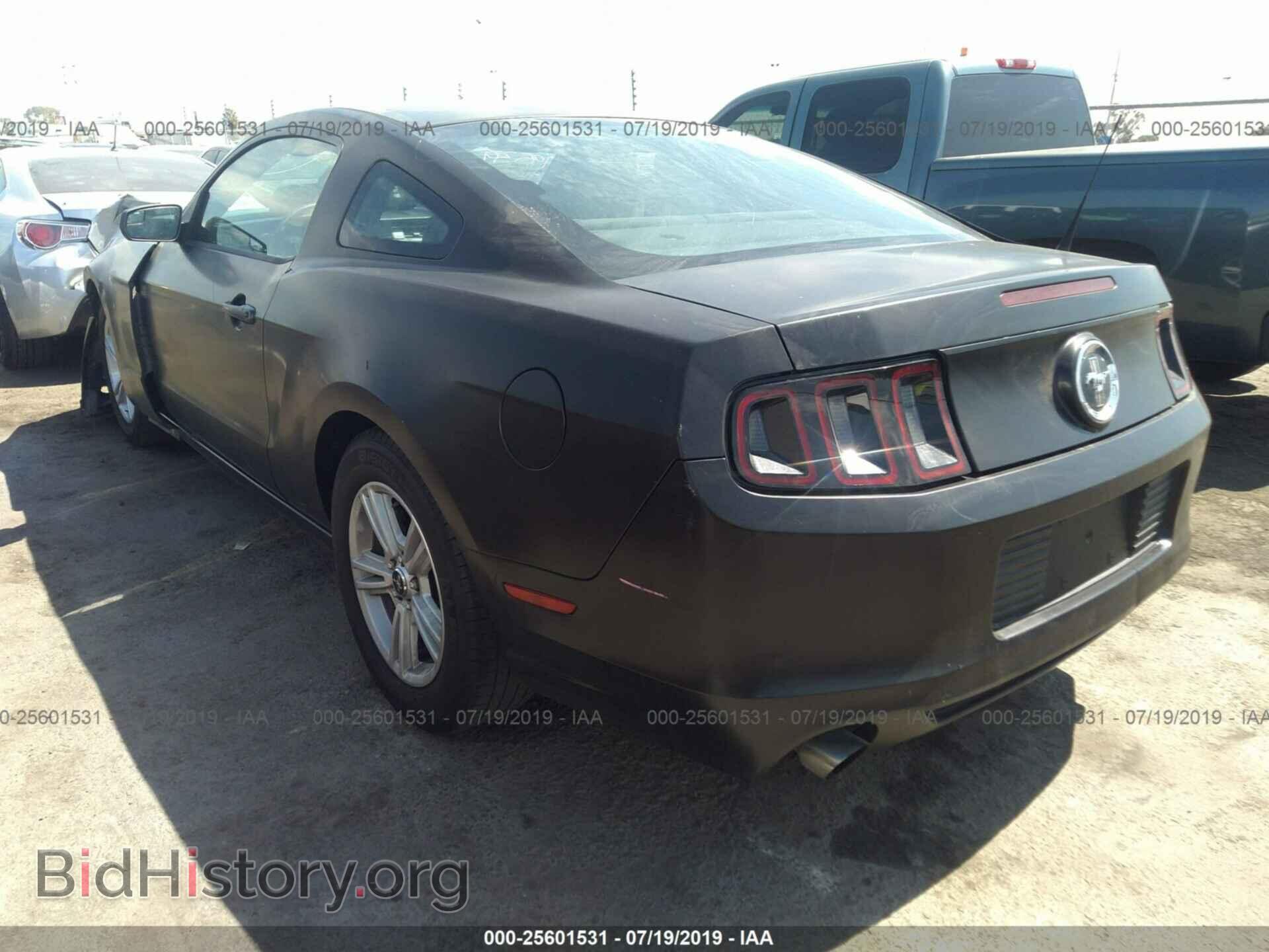 2014 FORD MUSTANG - VIN: 1ZVBP8AMXE5250292 - Фото 3