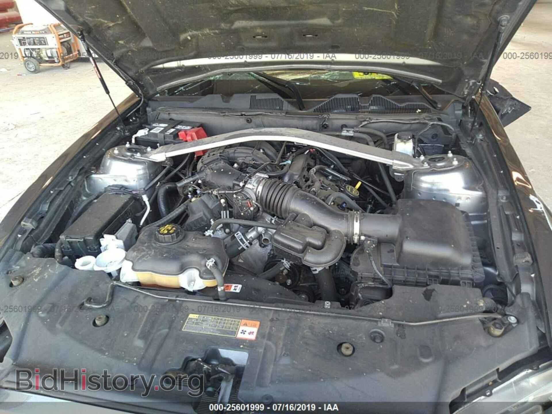 2014 FORD MUSTANG - VIN: 1ZVBP8EM4E5330374 - Photo 10