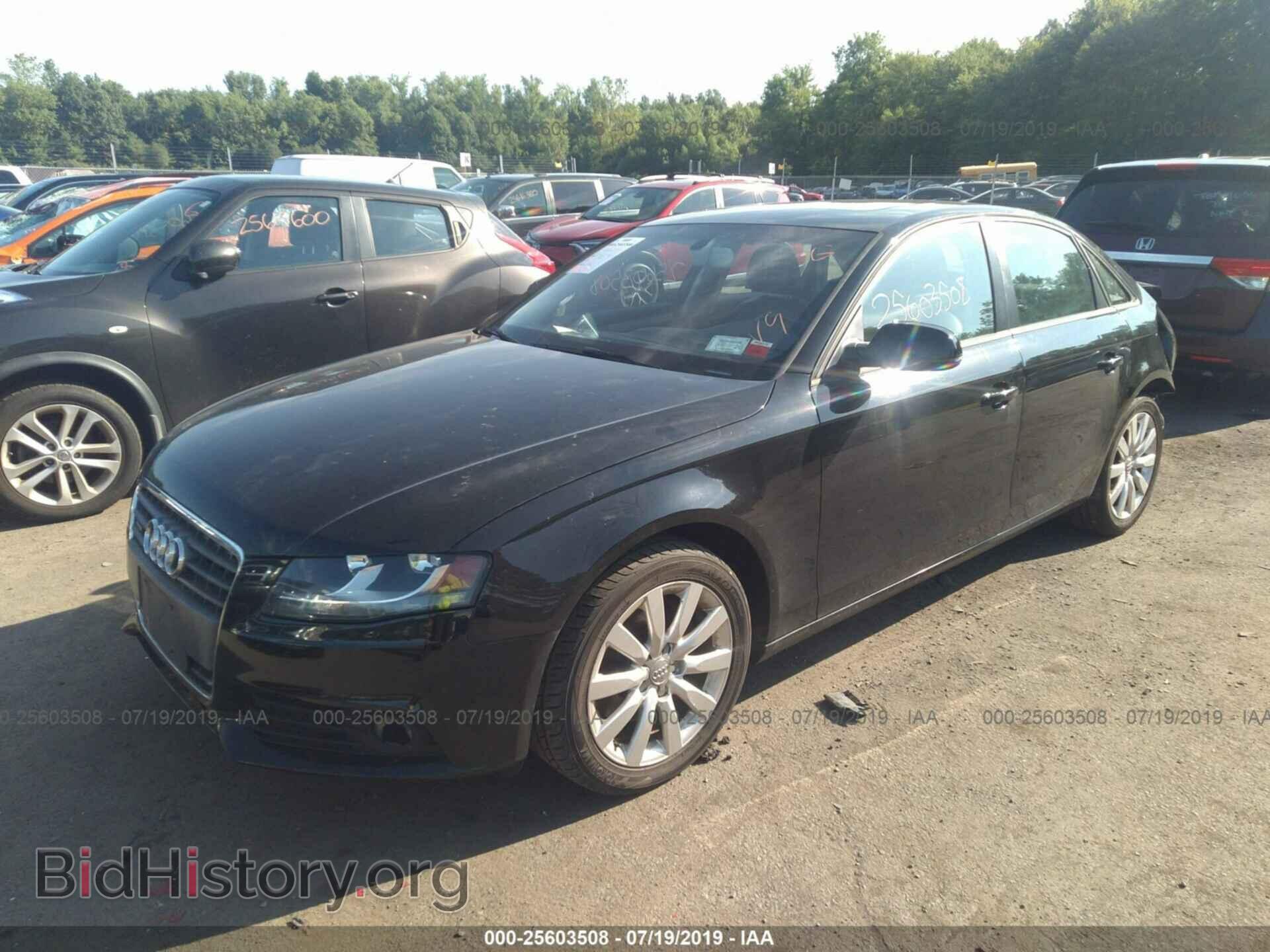 2012 AUDI A4 - VIN: WAUBFAFL3CN001825 - Фото 2