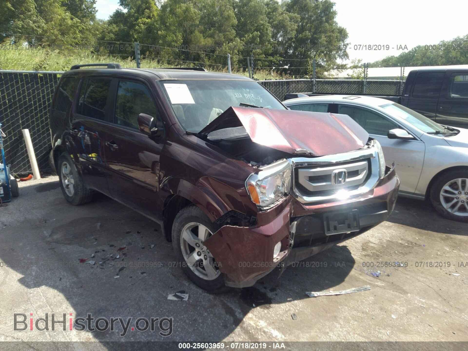Фотография 5FNYF48529B045898 - HONDA PILOT 2009