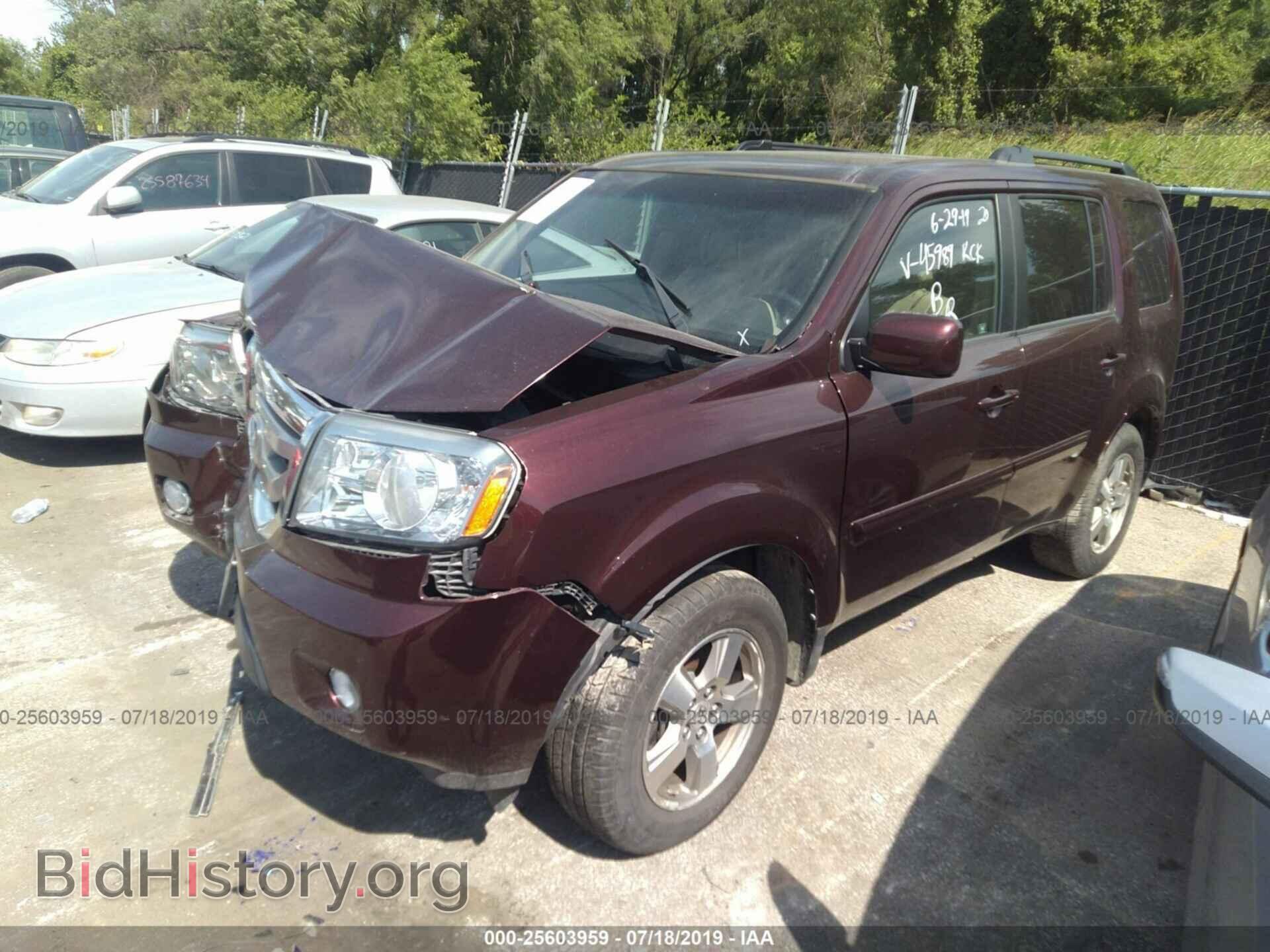 2009 HONDA PILOT - VIN: 5FNYF48529B045898 - Фото 2