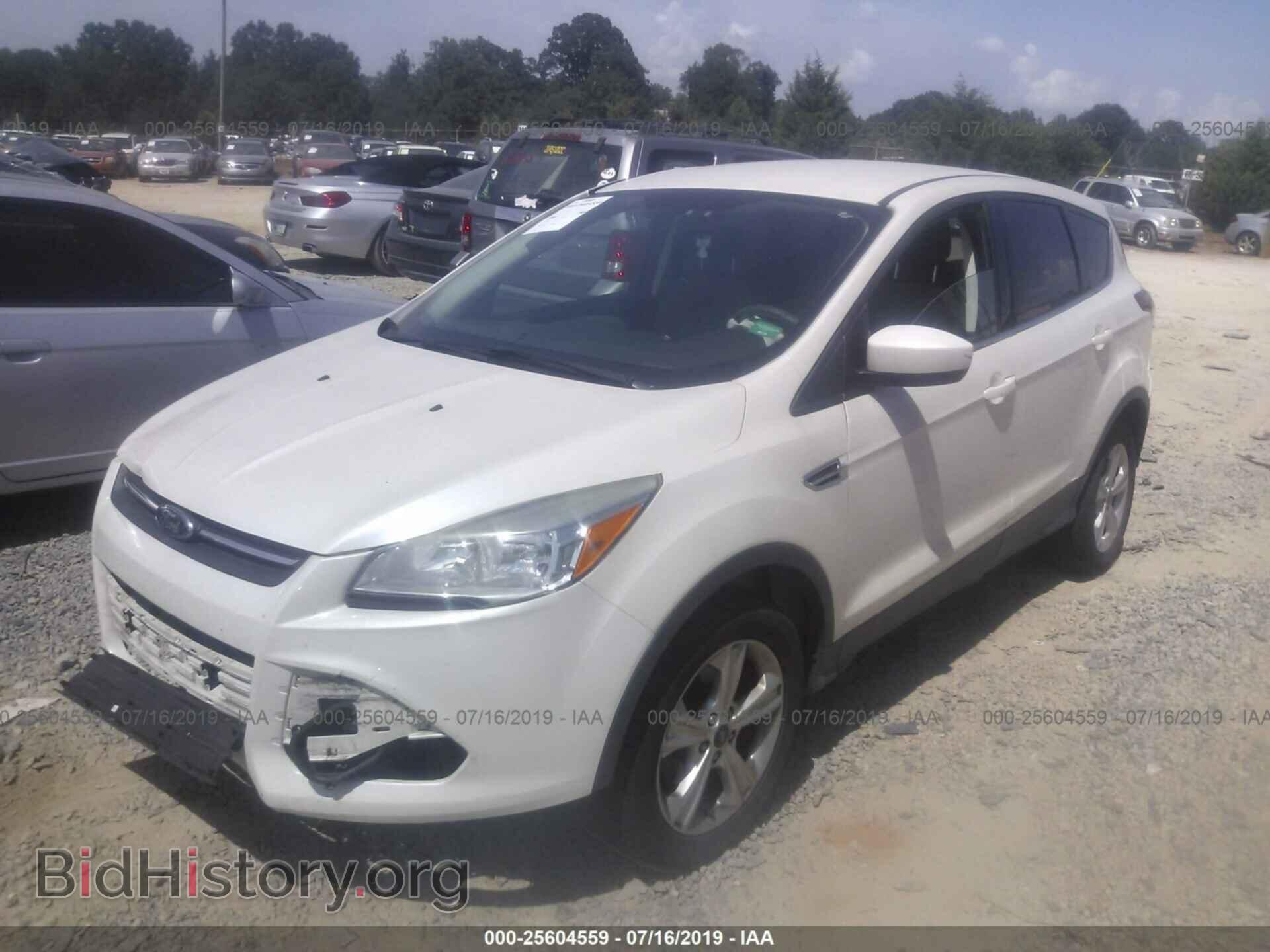 2013 FORD ESCAPE - VIN: 1FMCU0GX7DUC99288 - Фото 2