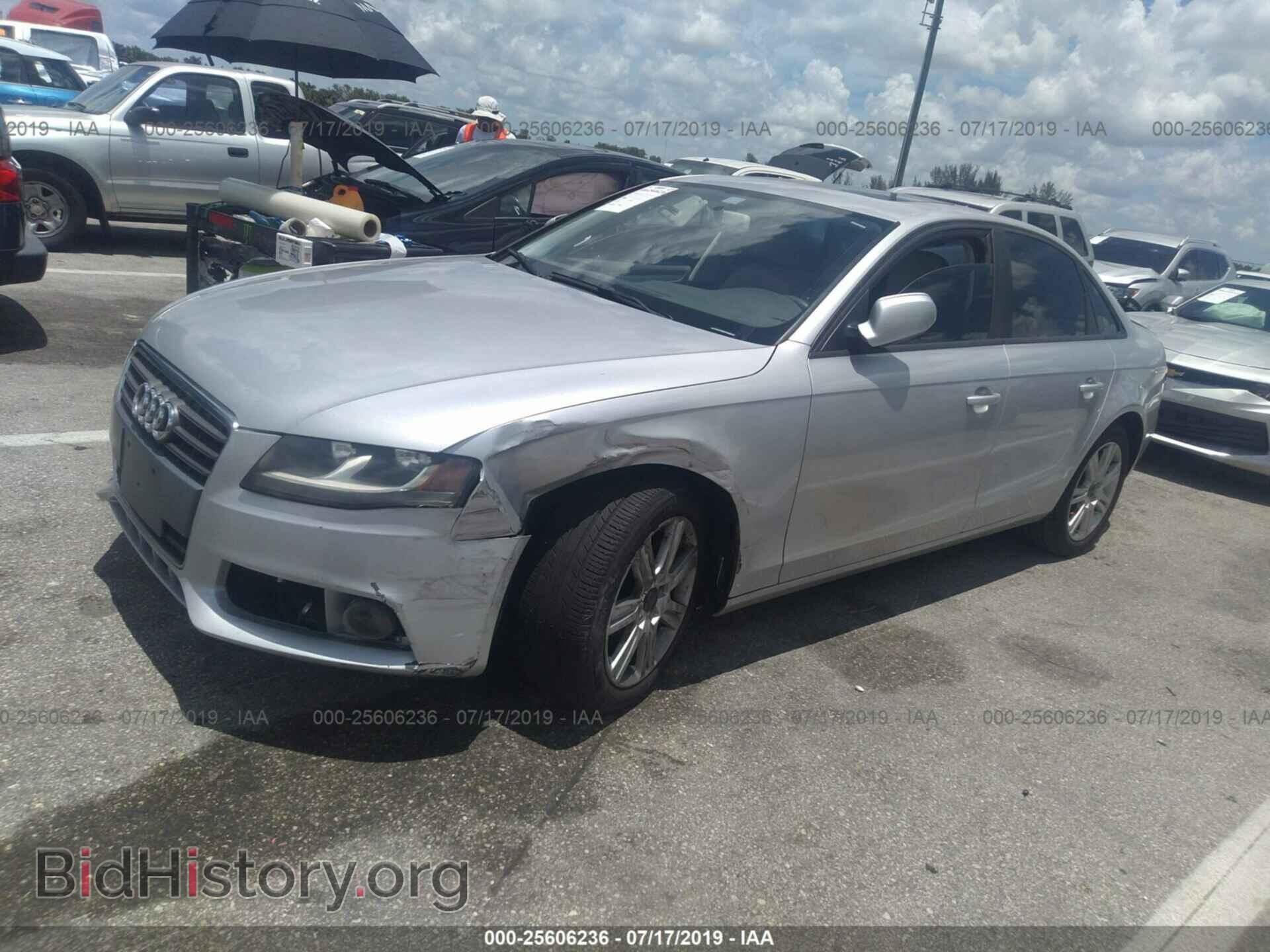 2010 AUDI A4 - VIN: WAUAFAFL2AN032489 - Фото 2