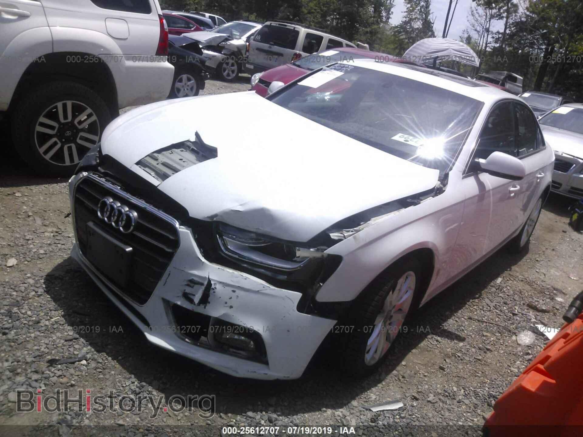 2013 AUDI A4 - VIN: WAUFFAFL8DN024262 - Фото 2