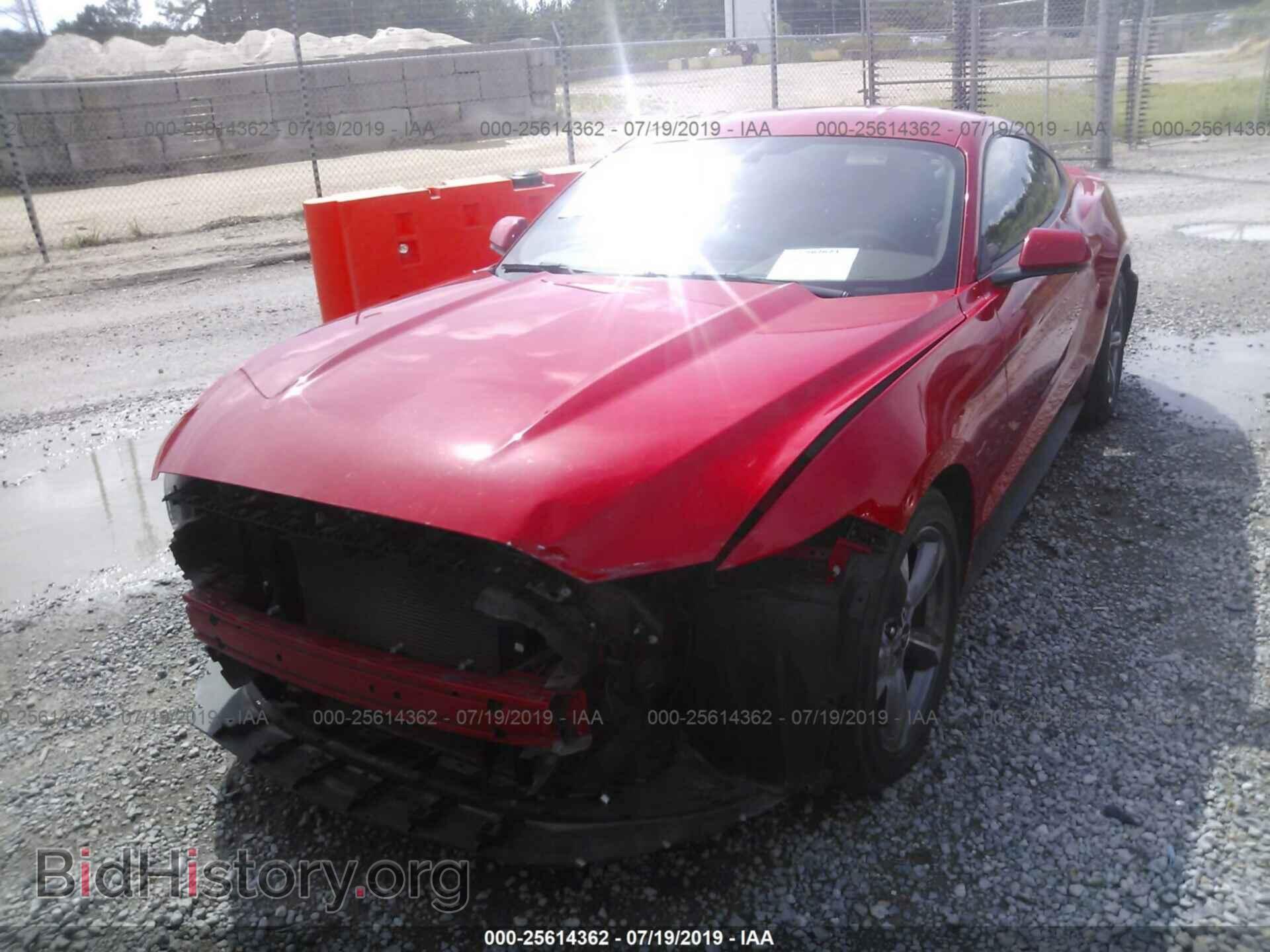 2016 FORD MUSTANG - VIN: 1FA6P8AM4G5247501 - Фото 2