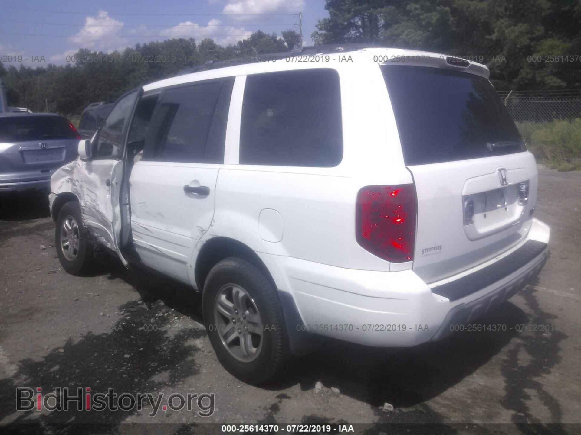 2005 HONDA PILOT - VIN: 5FNYF18565B018261 - Фото 3