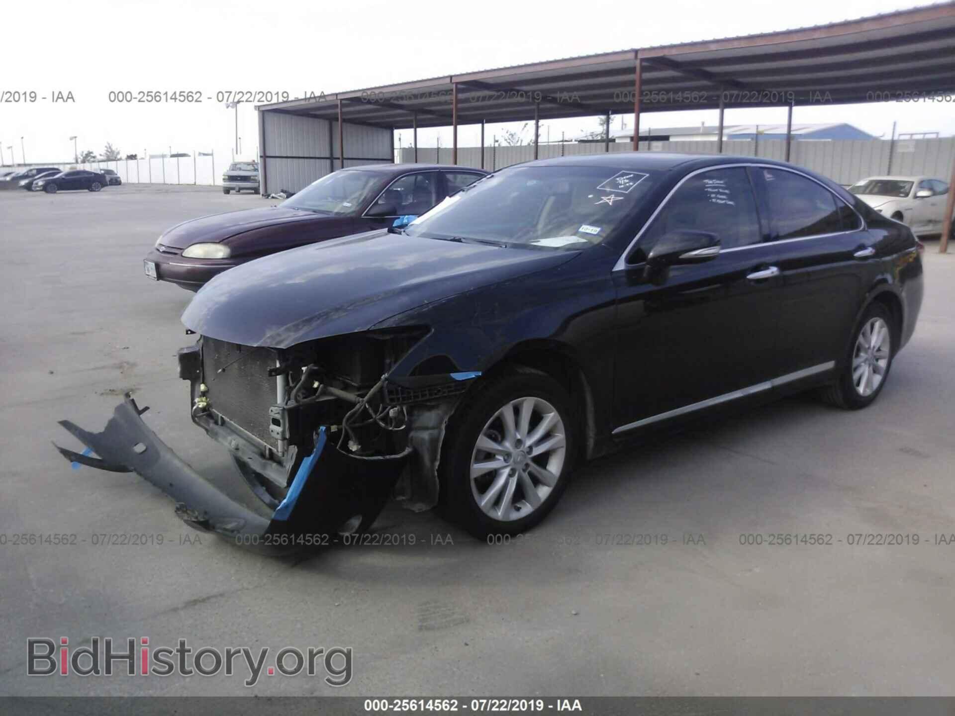 2011 LEXUS ES - VIN: JTHBK1EG3B2439813 - Фото 2