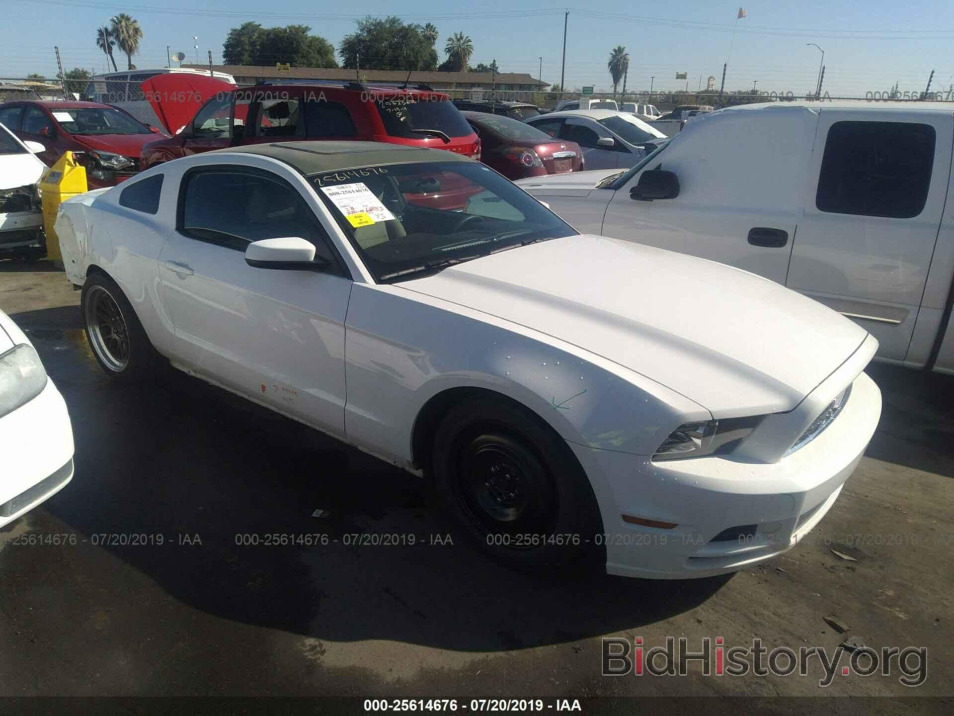 Photo 1ZVBP8AM6D5282722 - FORD MUSTANG 2013