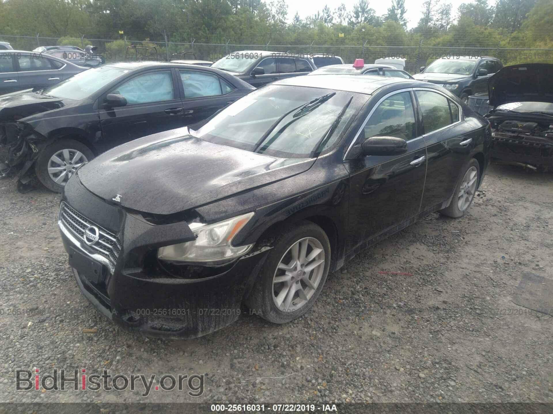 2009 NISSAN MAXIMA - VIN: 1N4AA51EX9C828874 - Фото 2