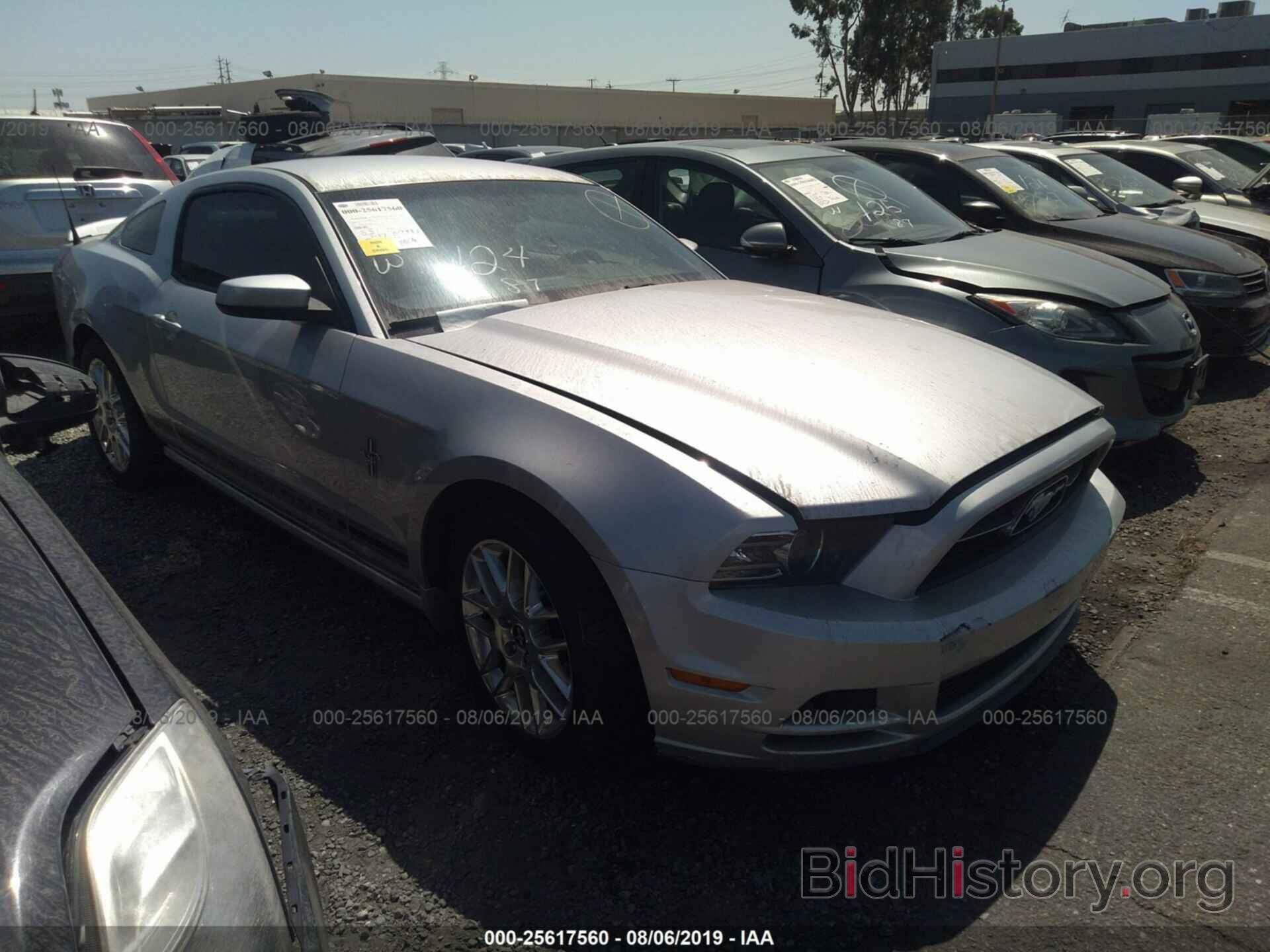 Photo 1ZVBP8AM1D5271739 - FORD MUSTANG 2013