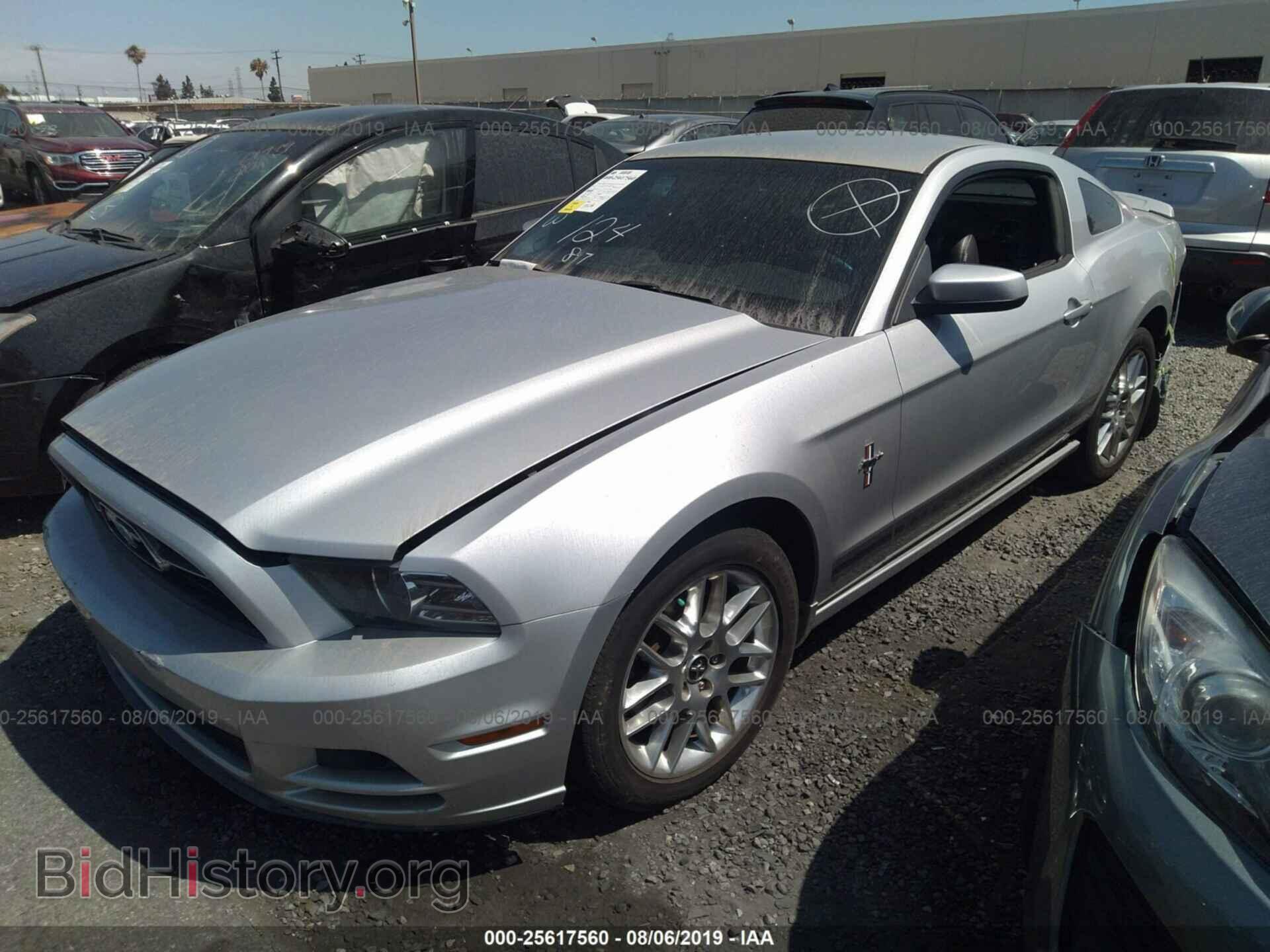 2013 FORD MUSTANG - VIN: 1ZVBP8AM1D5271739 - Фото 2
