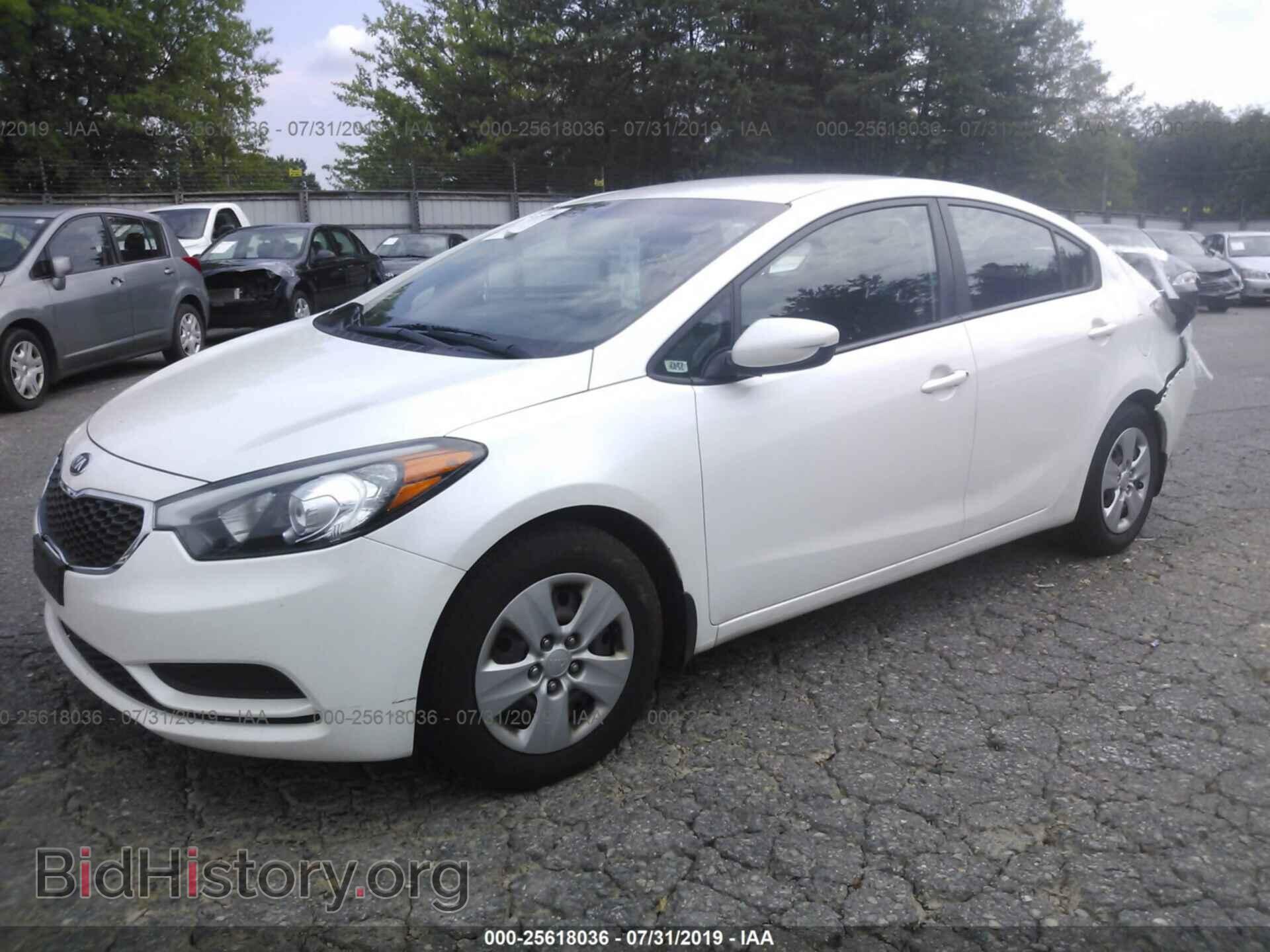 2014 KIA FORTE - VIN: KNAFK4A69E5067721 - Фото 2