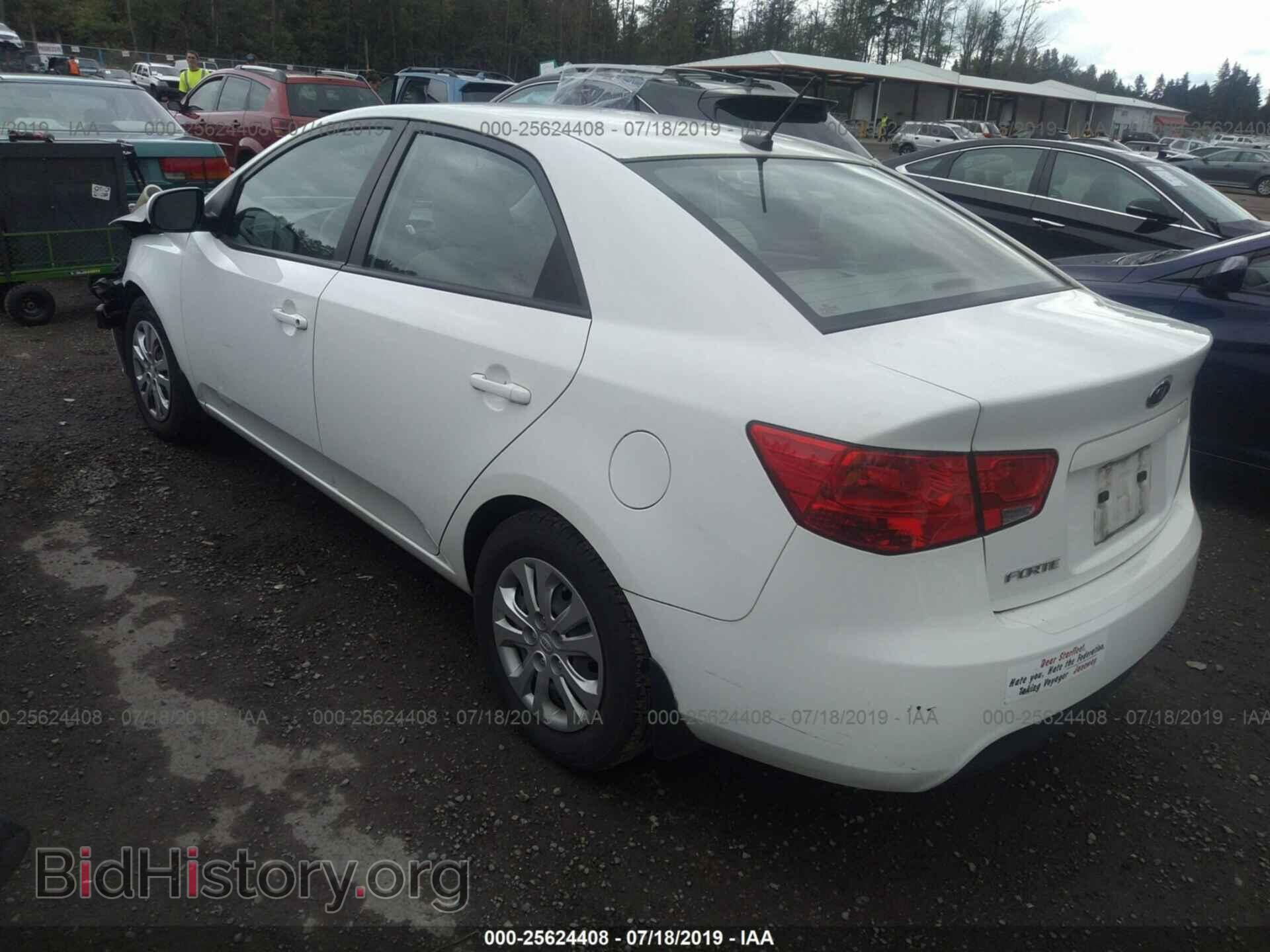 2013 KIA FORTE - VIN: KNAFT4A29D5735204 - Фото 3