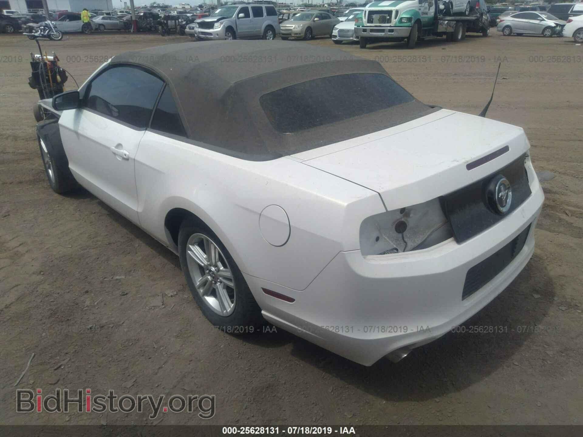 2013 FORD MUSTANG - VIN: 1ZVBP8EM0D5221862 - Фото 3