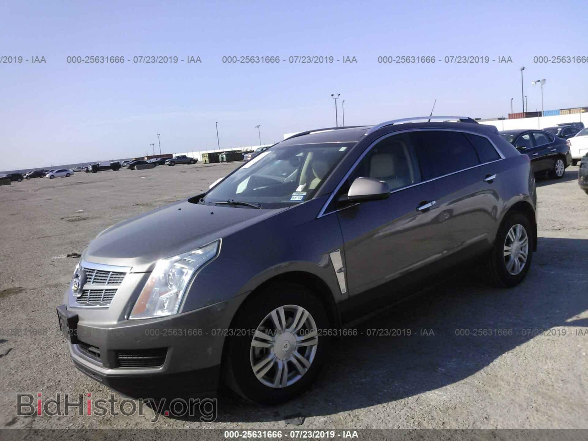 2011 CADILLAC SRX - VIN: 3GYFNAEY2BS532162 - Фото 2