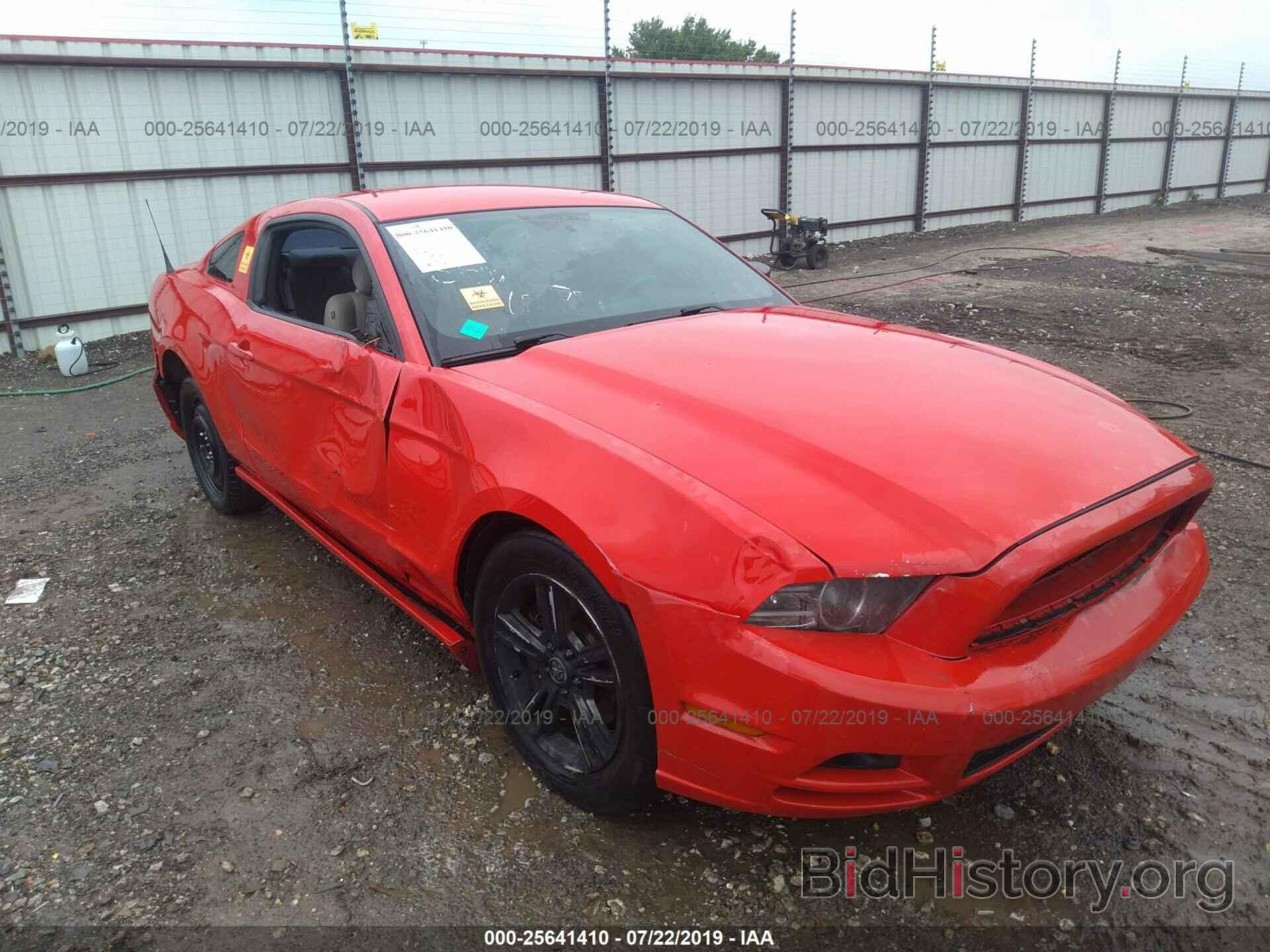 Photo 1ZVBP8AM4D5268429 - FORD MUSTANG 2013