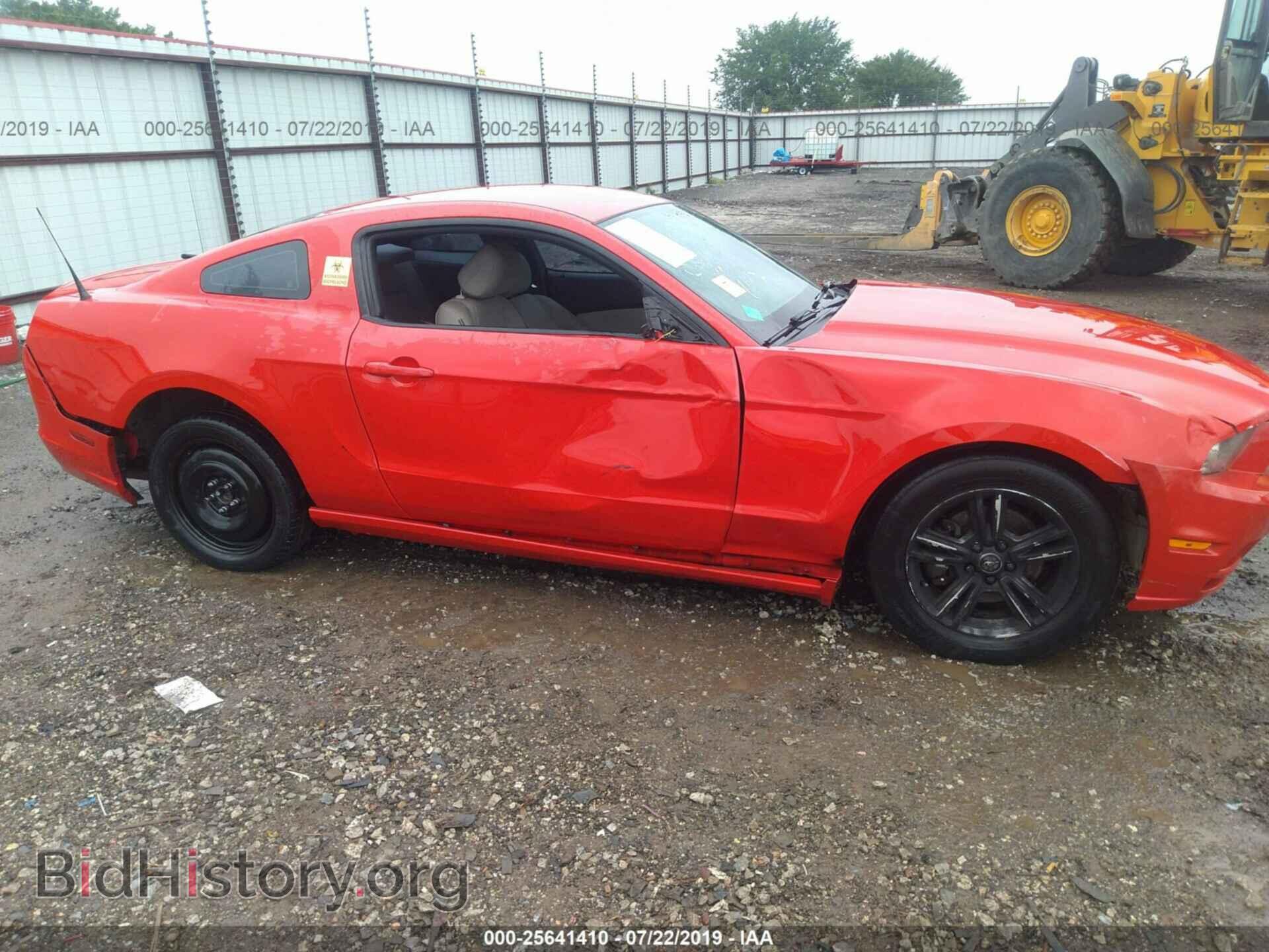 2013 FORD MUSTANG - VIN: 1ZVBP8AM4D5268429 - Фото 6