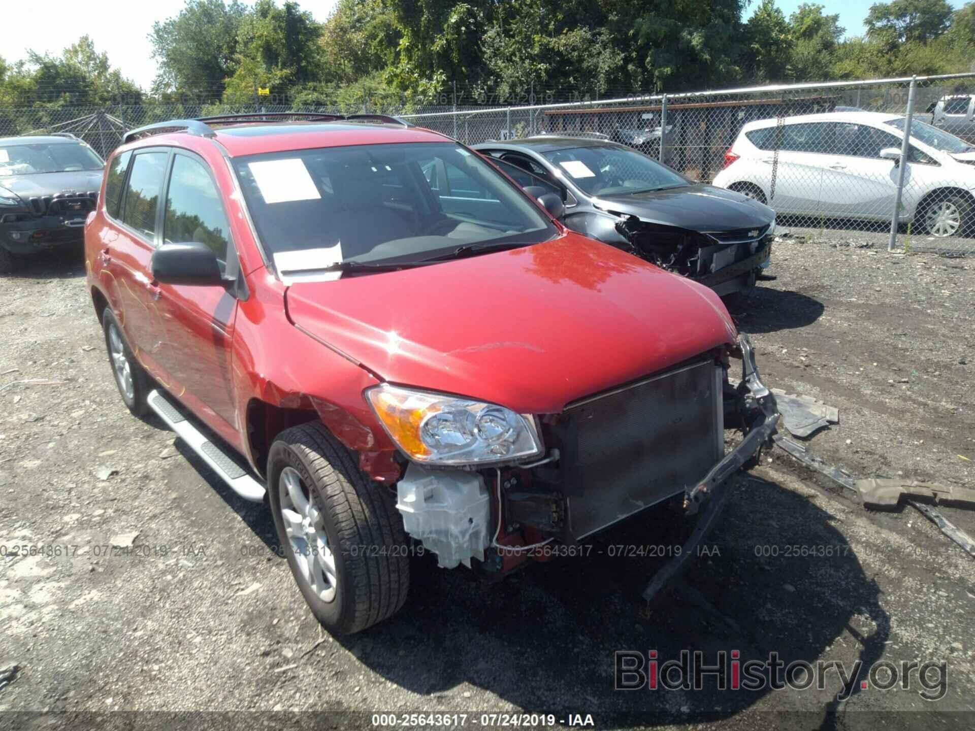 Photo 2T3BF4DV8CW227067 - TOYOTA RAV4 2012